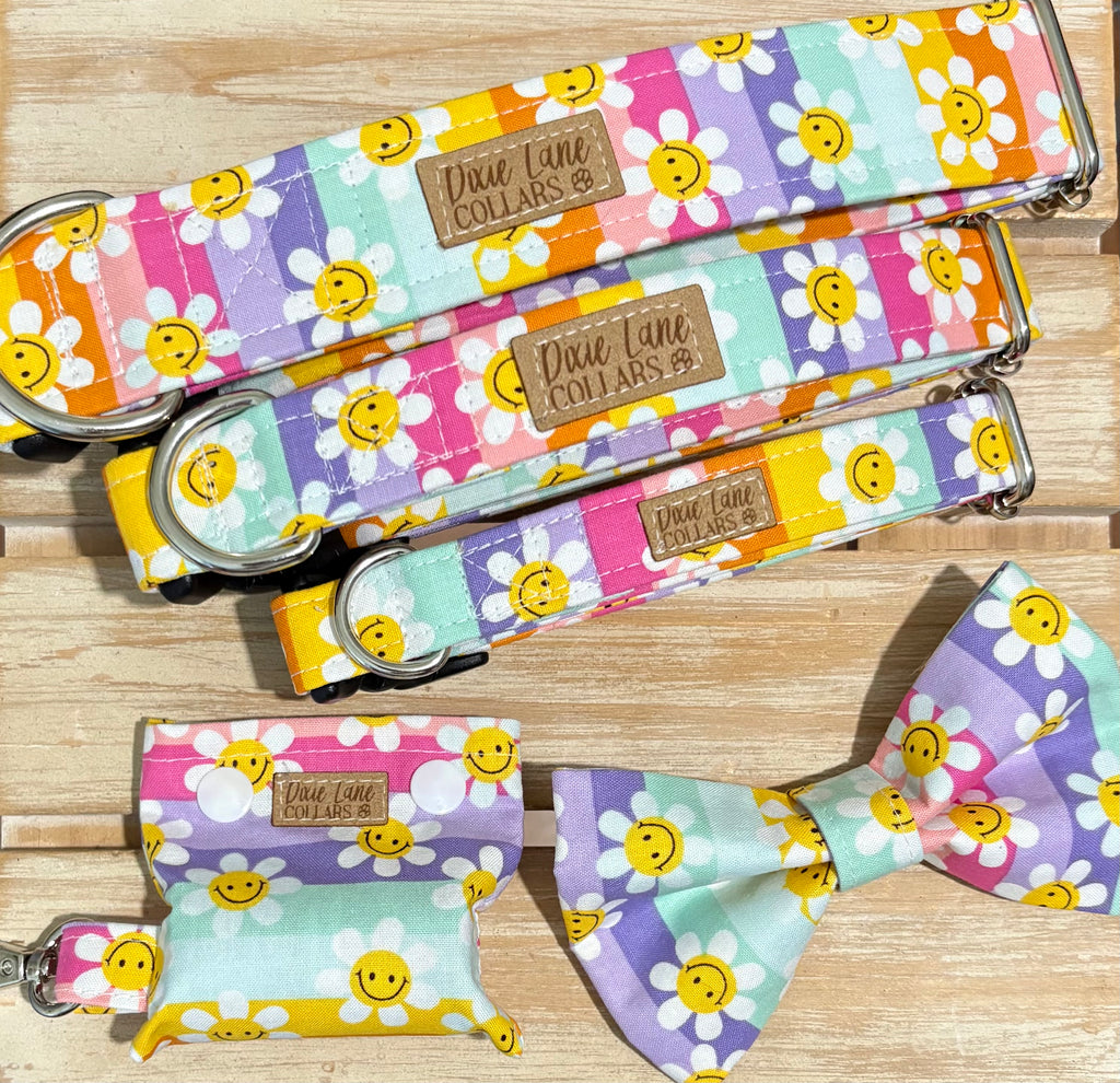 Groovy Summer Daisies Dog Collar