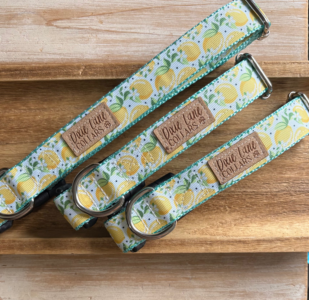 Summer Lemons Ribbon Dog Collar