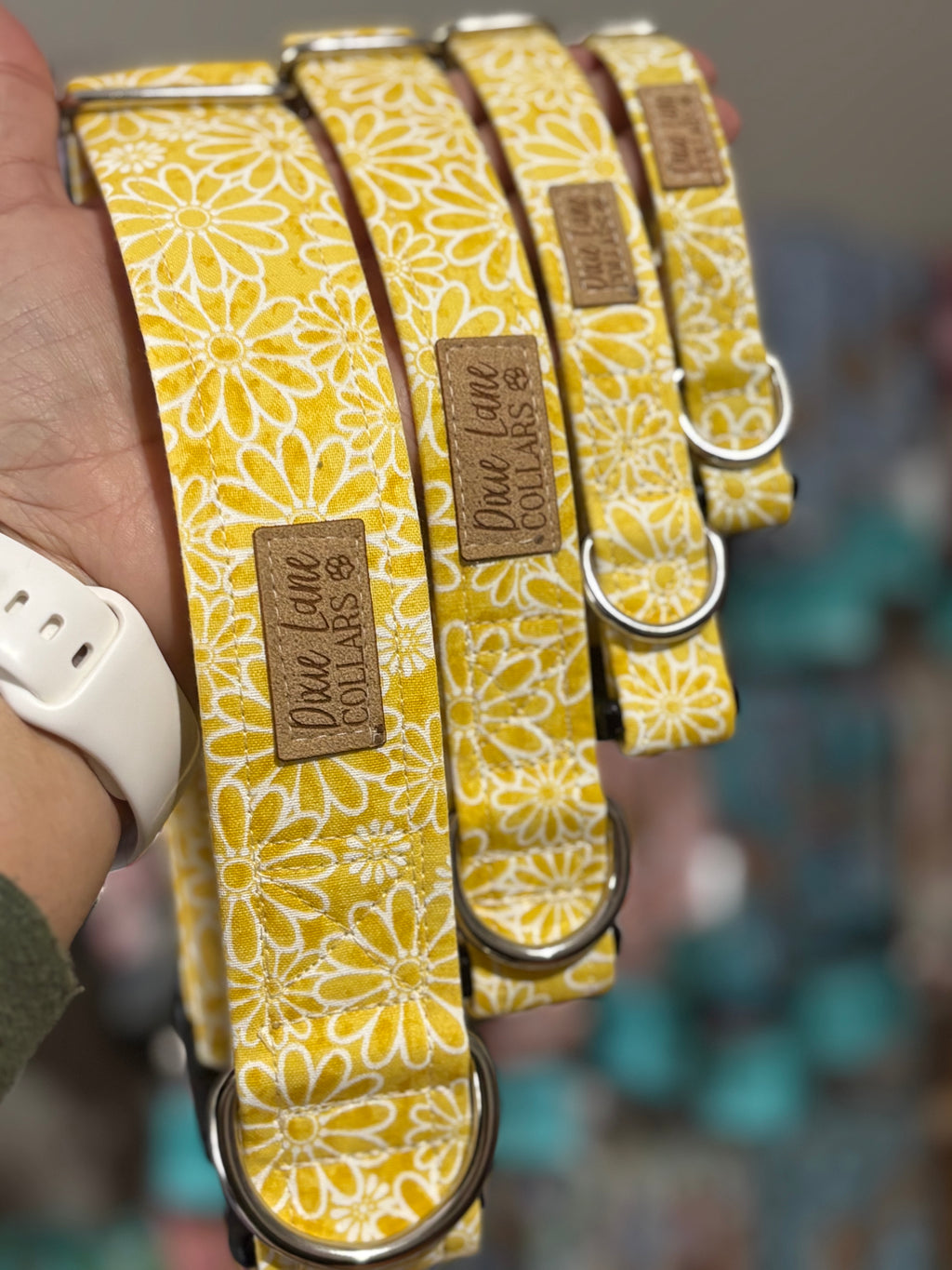 Yellow Daisies Dog Collar