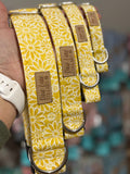 Yellow Daisies Dog Collar