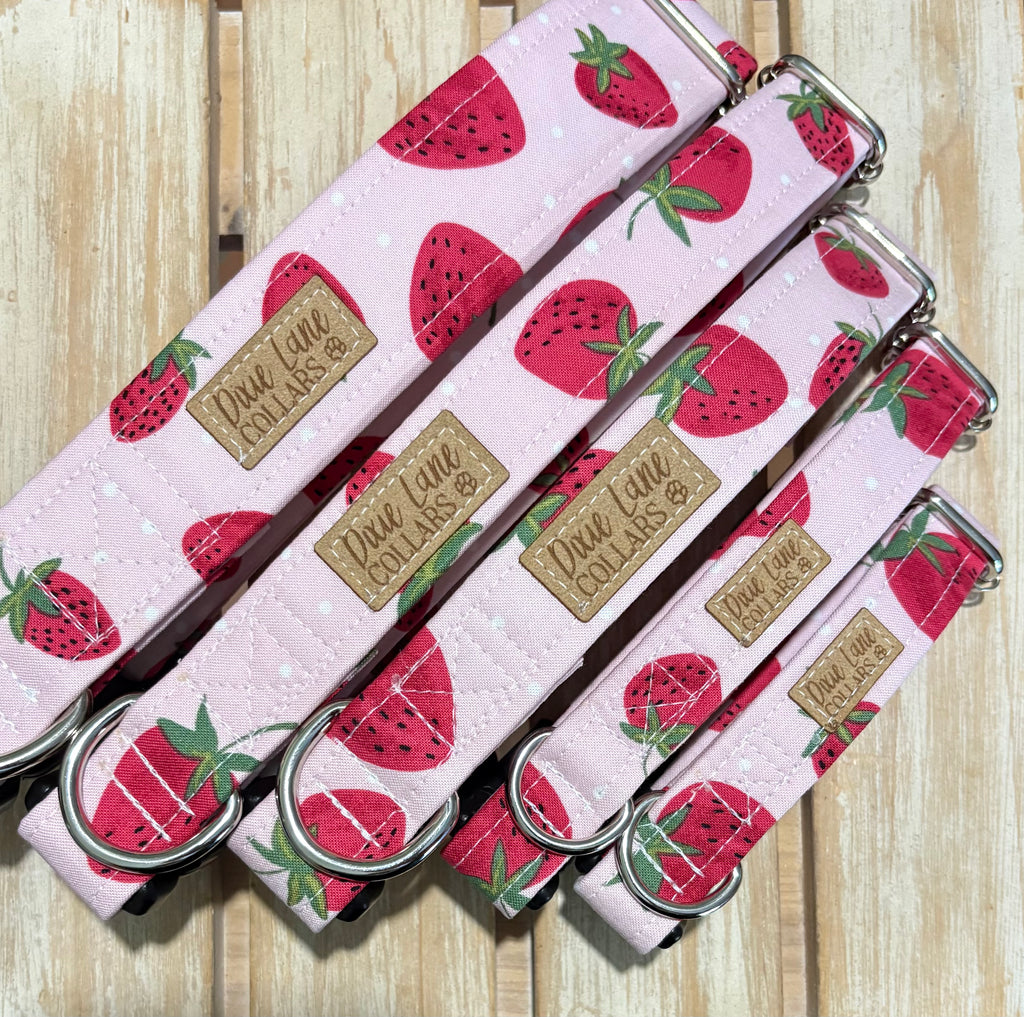 Pink Summer Strawberries Dog Collar