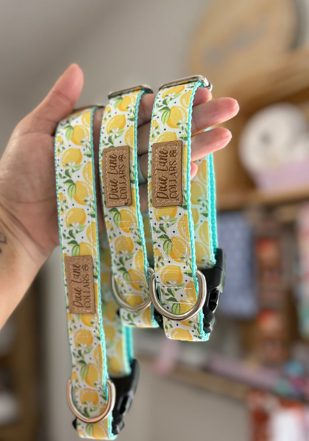 Summer Lemons Ribbon Dog Collar