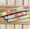Citrus Striped Dog Collar