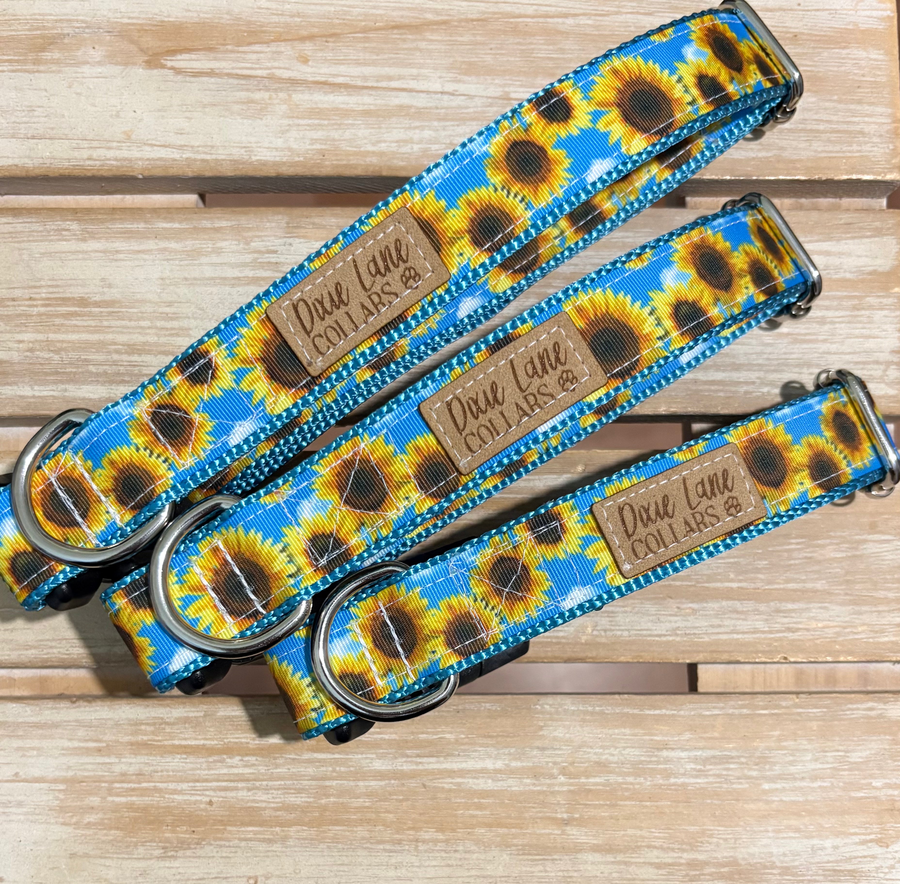 Sunflower Skies Dog Collar