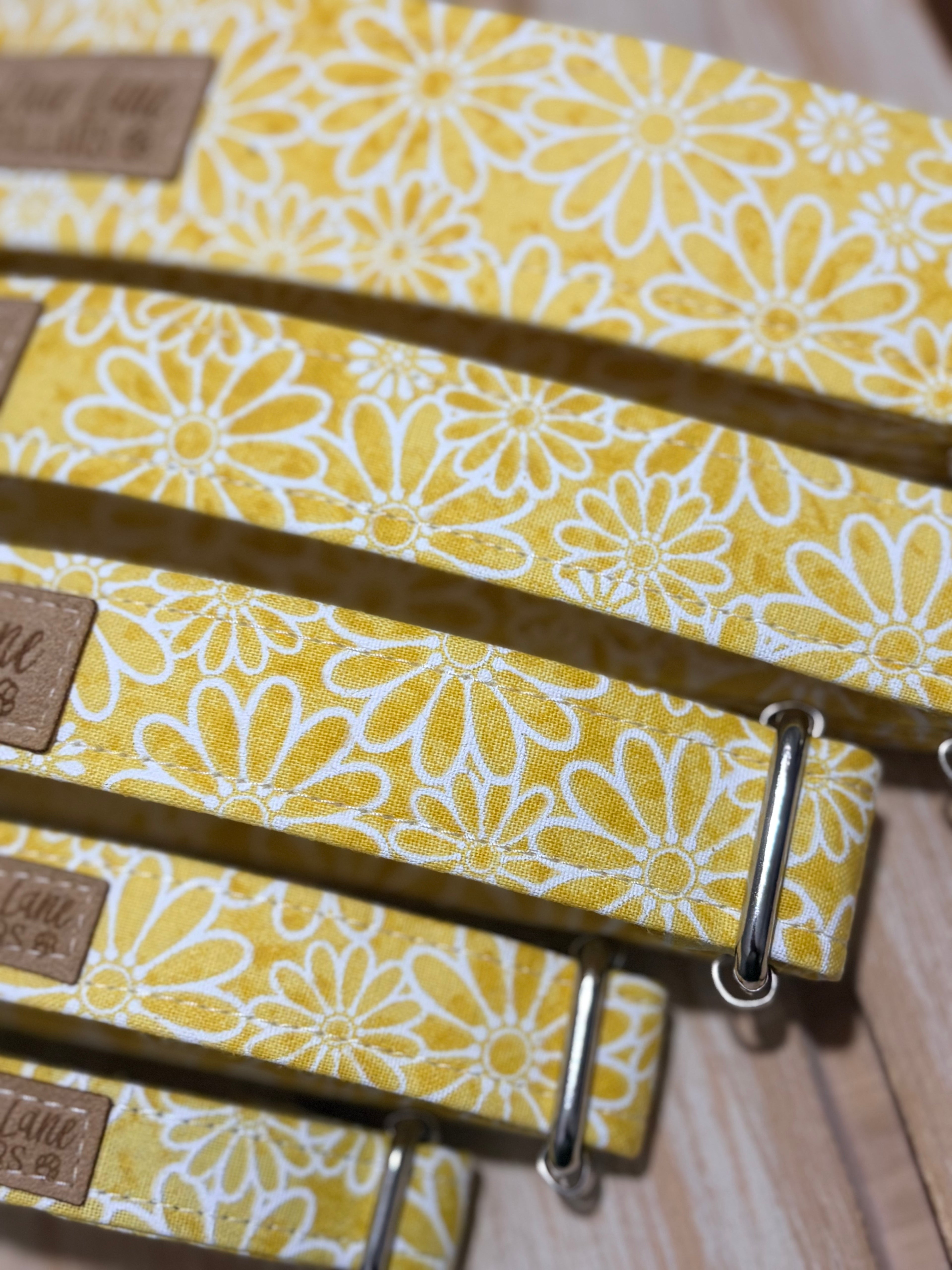 Yellow Daisies Dog Collar