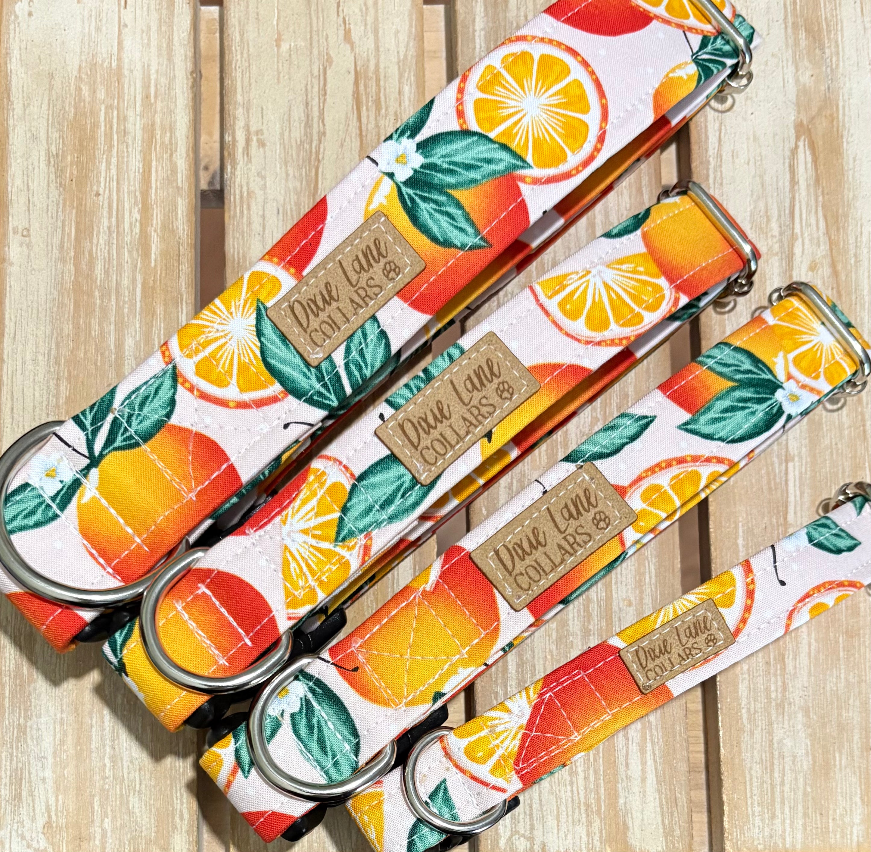 Summer Oranges Dog Collar