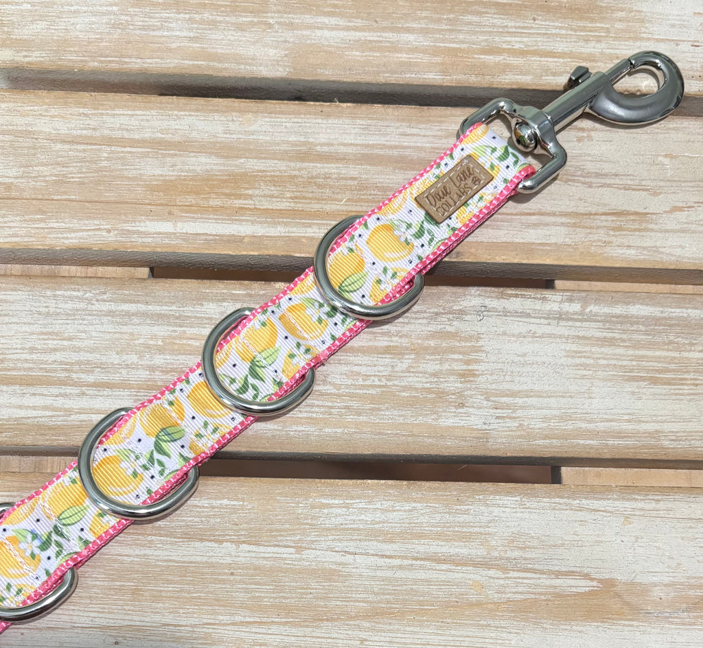 Pink Lemons Nylon Grooming Extender