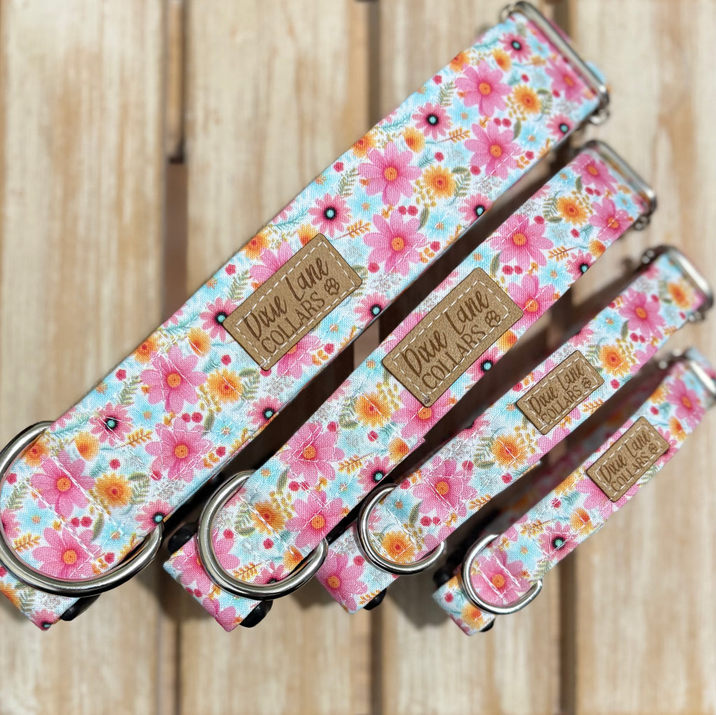 Summer Daisies Dog Collar