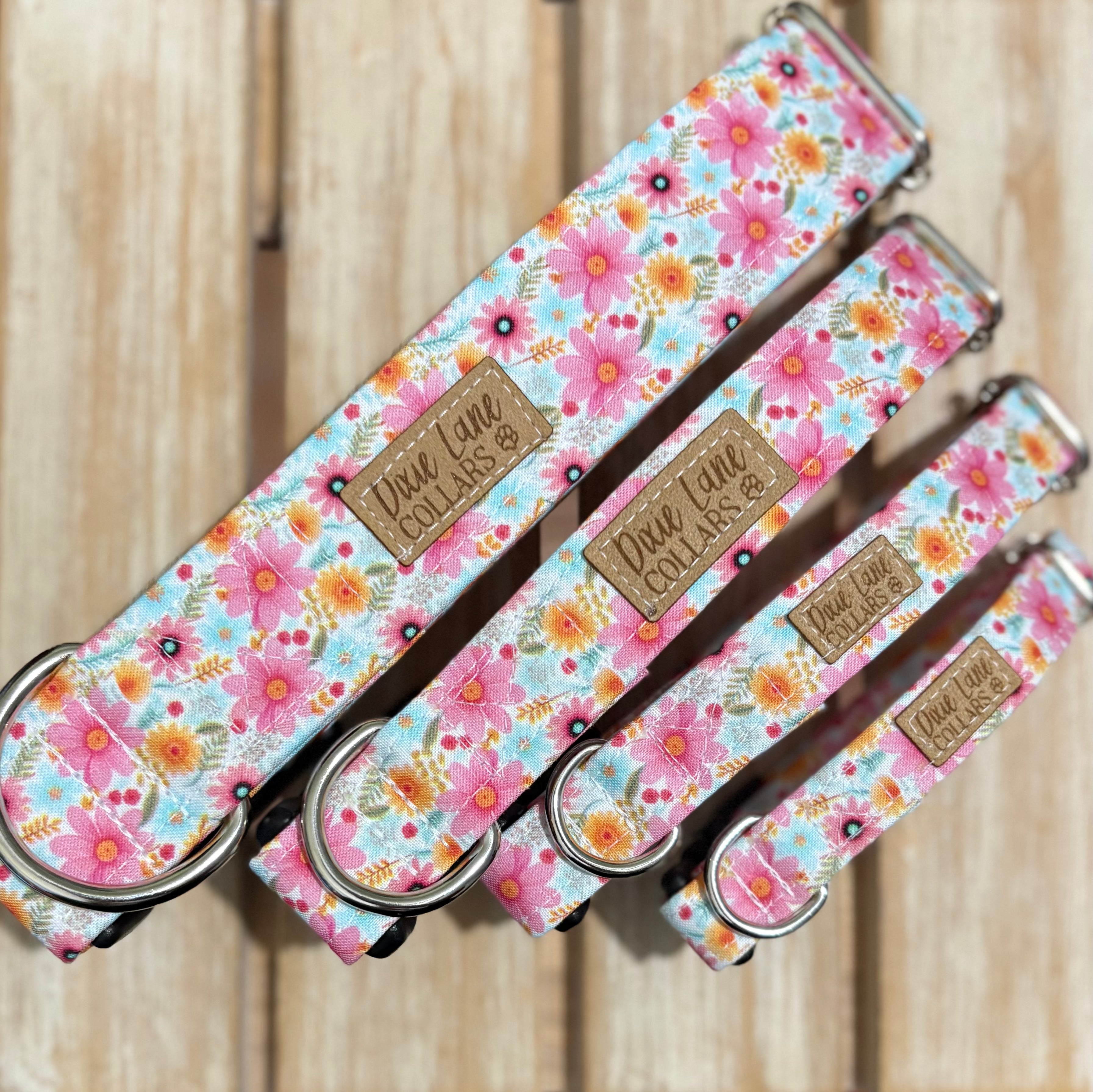Summer Daisies Dog Collar