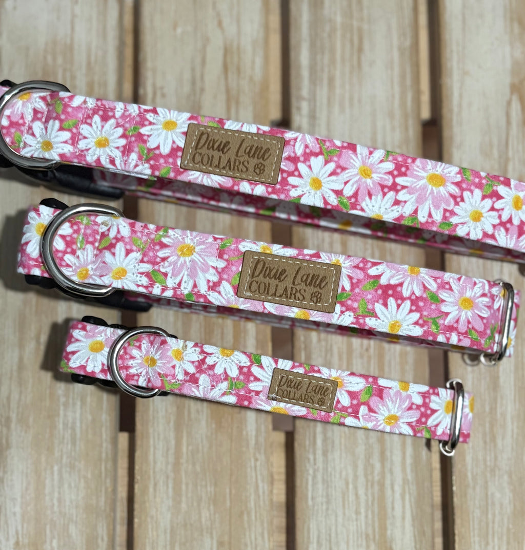 Pink Daisies Dog Collar