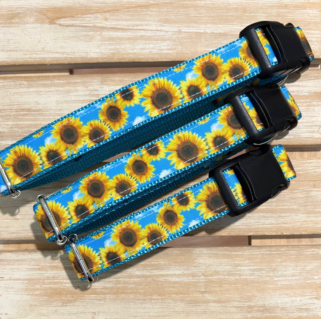 Sunflower Skies Dog Collar