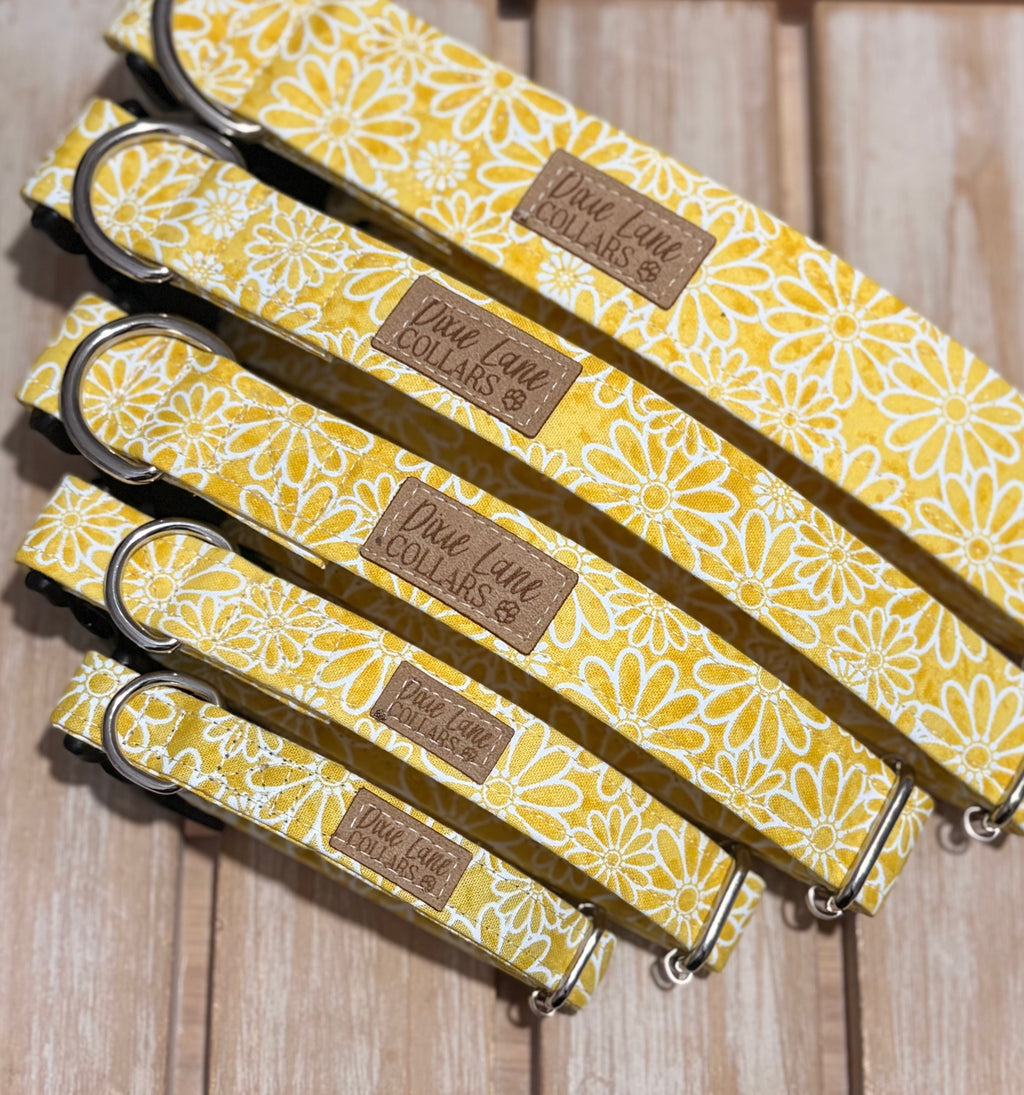 Yellow Daisies Dog Collar