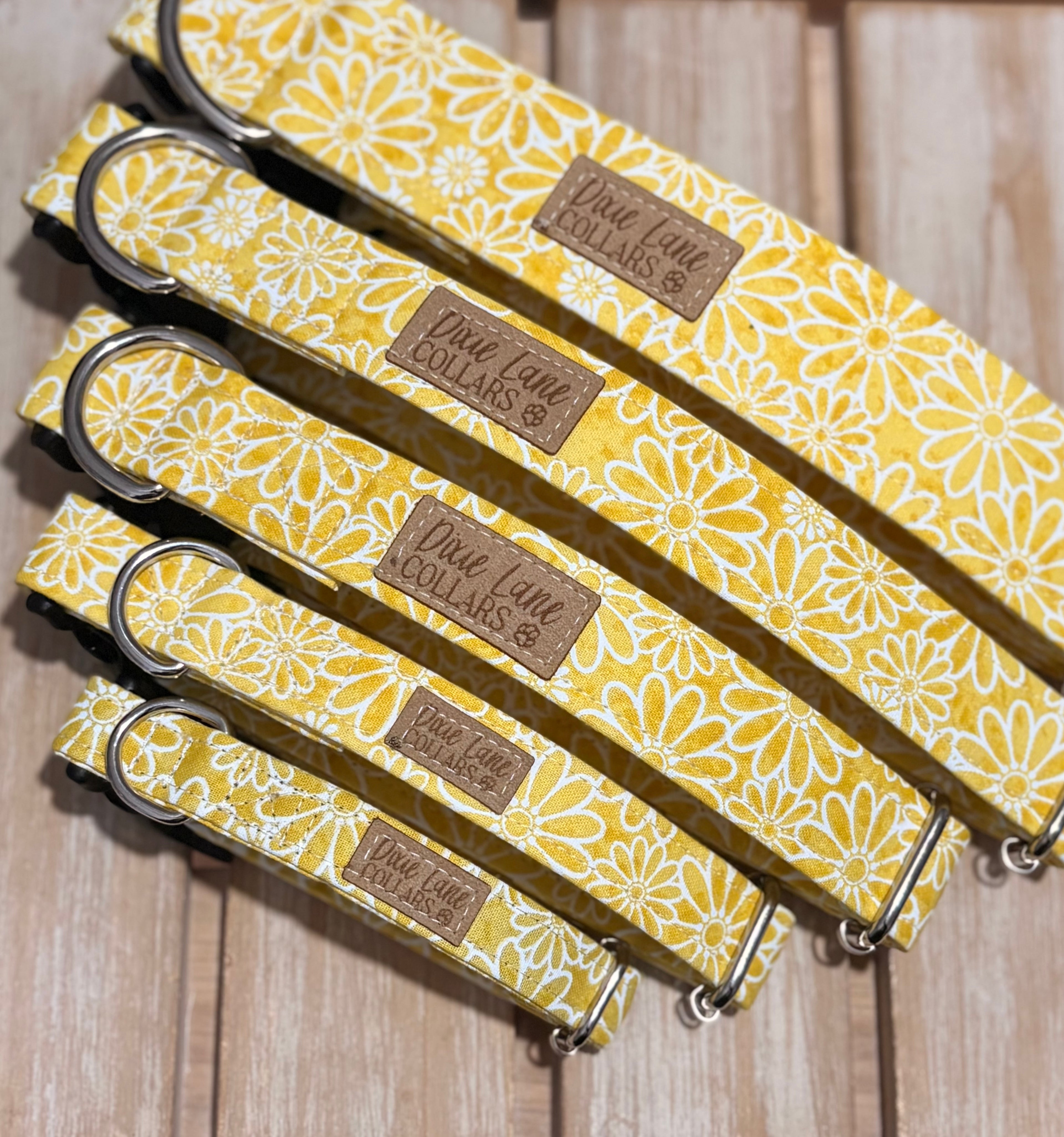 Yellow Daisies Dog Collar