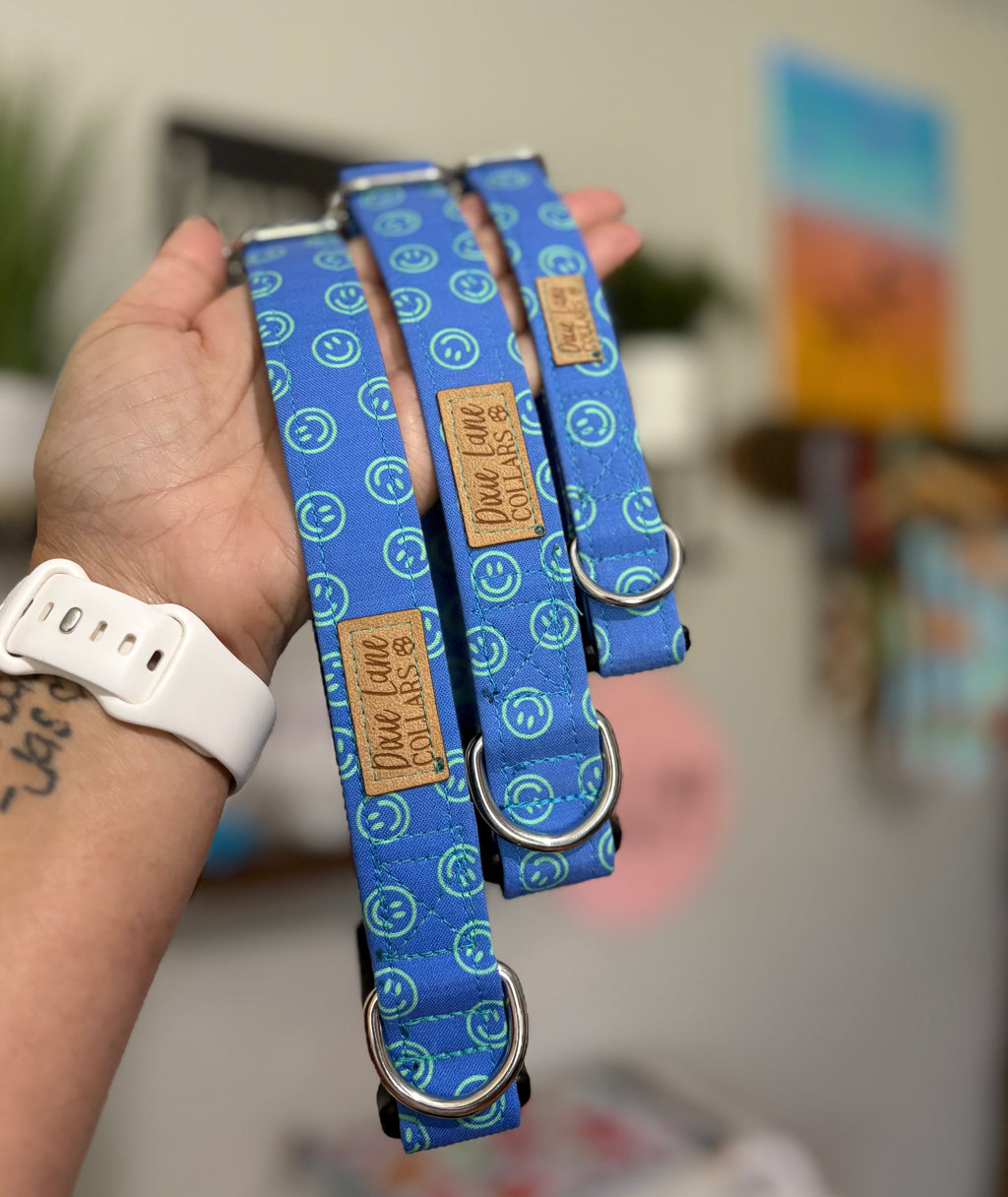 Retro Summer Blue Smiles Dog Collar