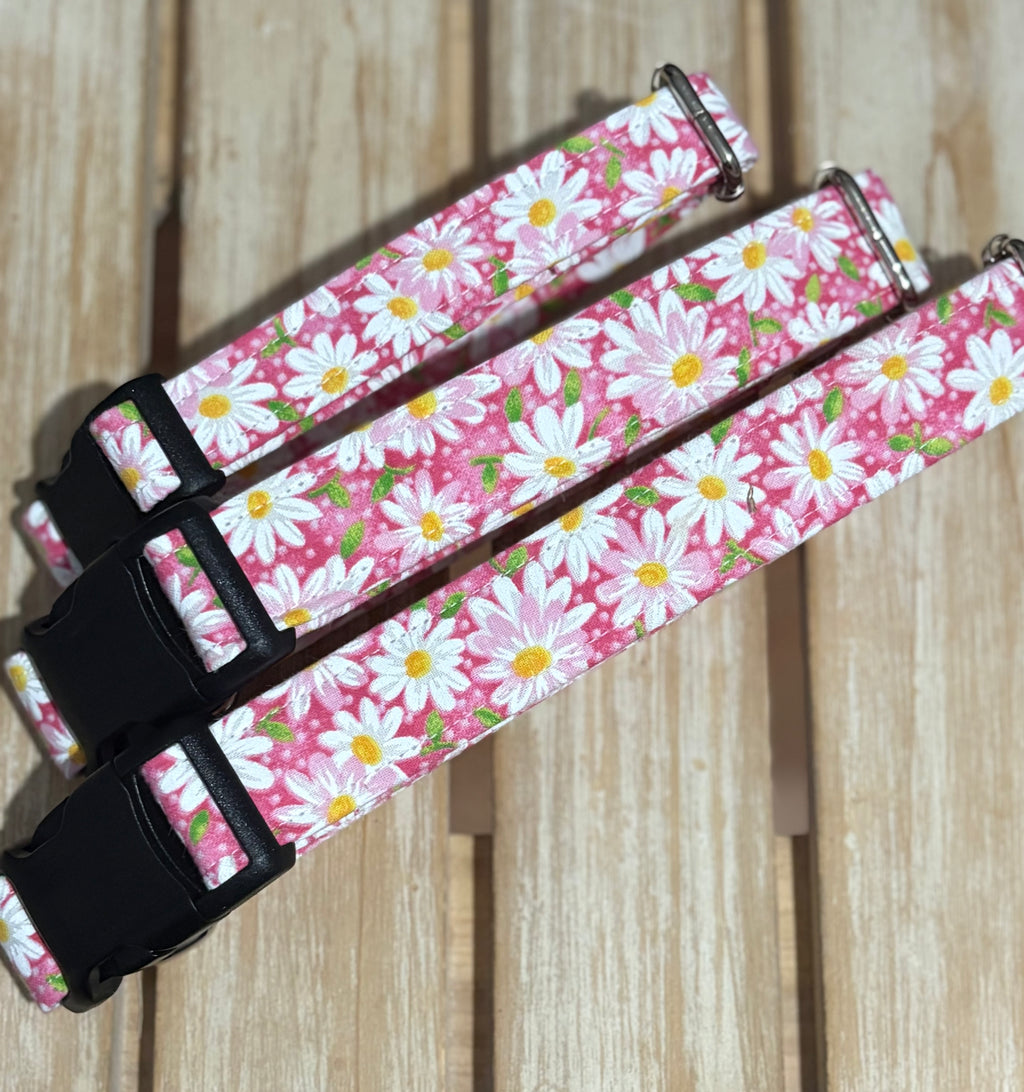 Pink Daisies Dog Collar