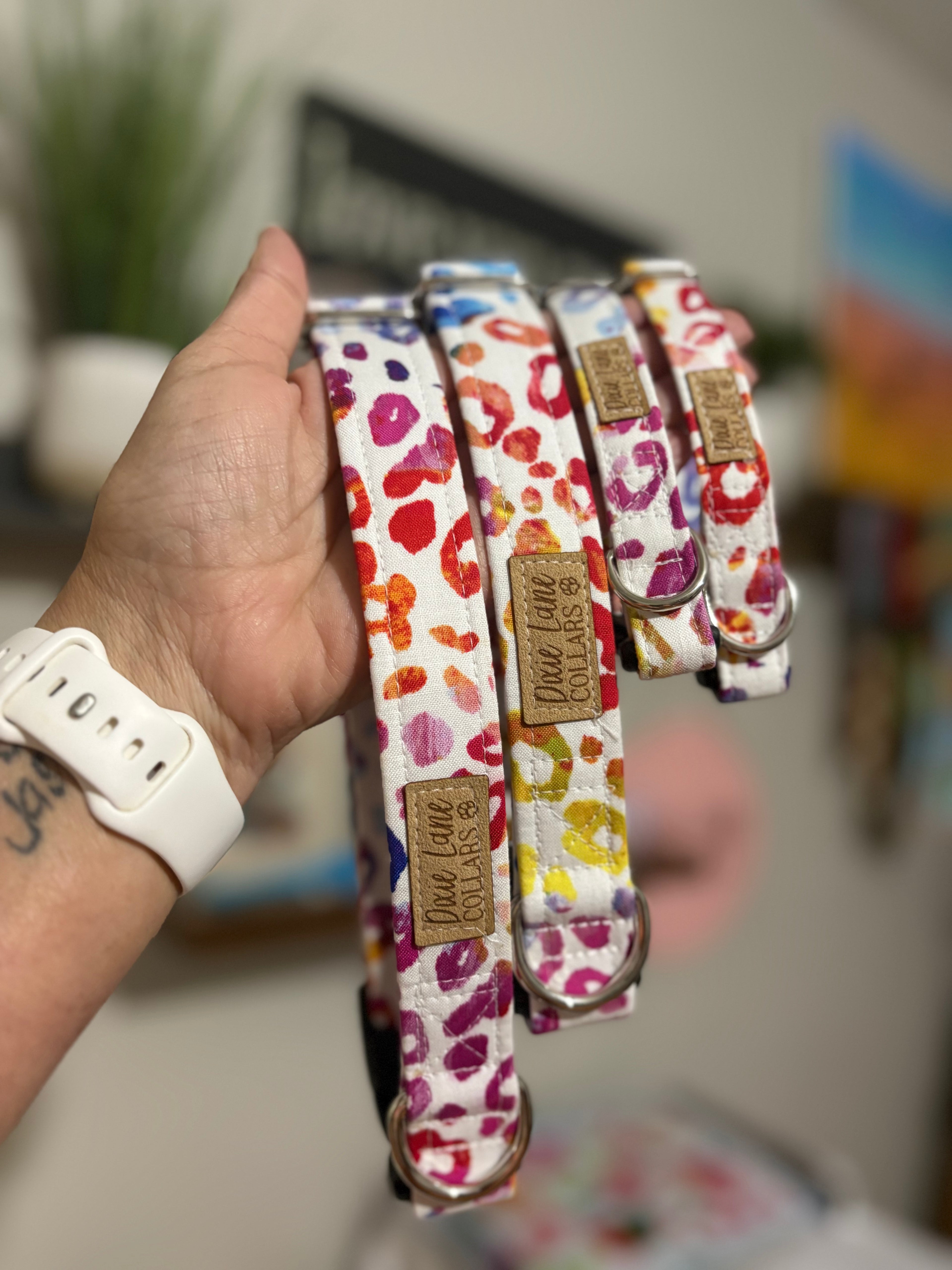 Rainbow Leopard Print Dog Collar