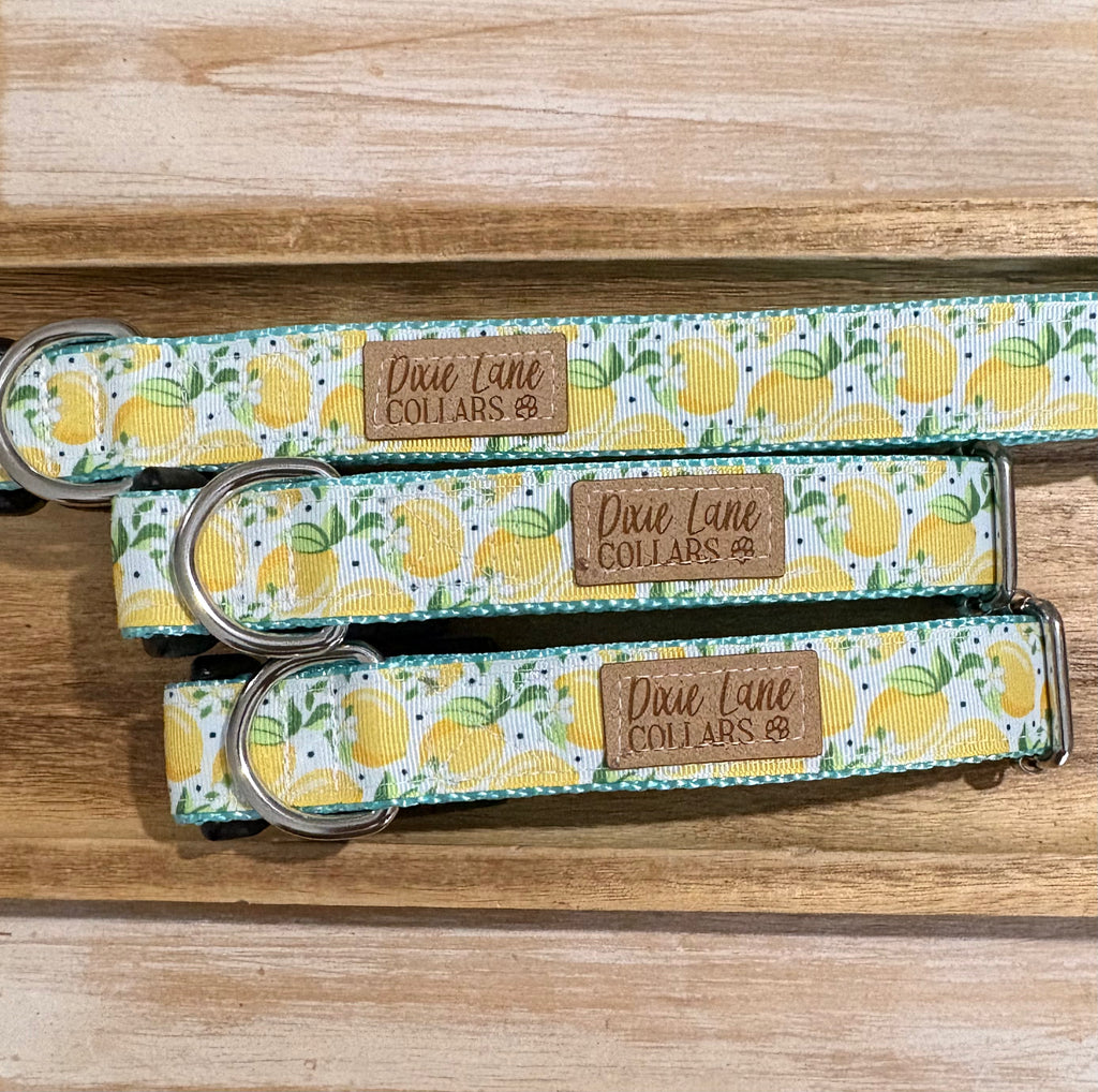 Summer Lemons Ribbon Dog Collar