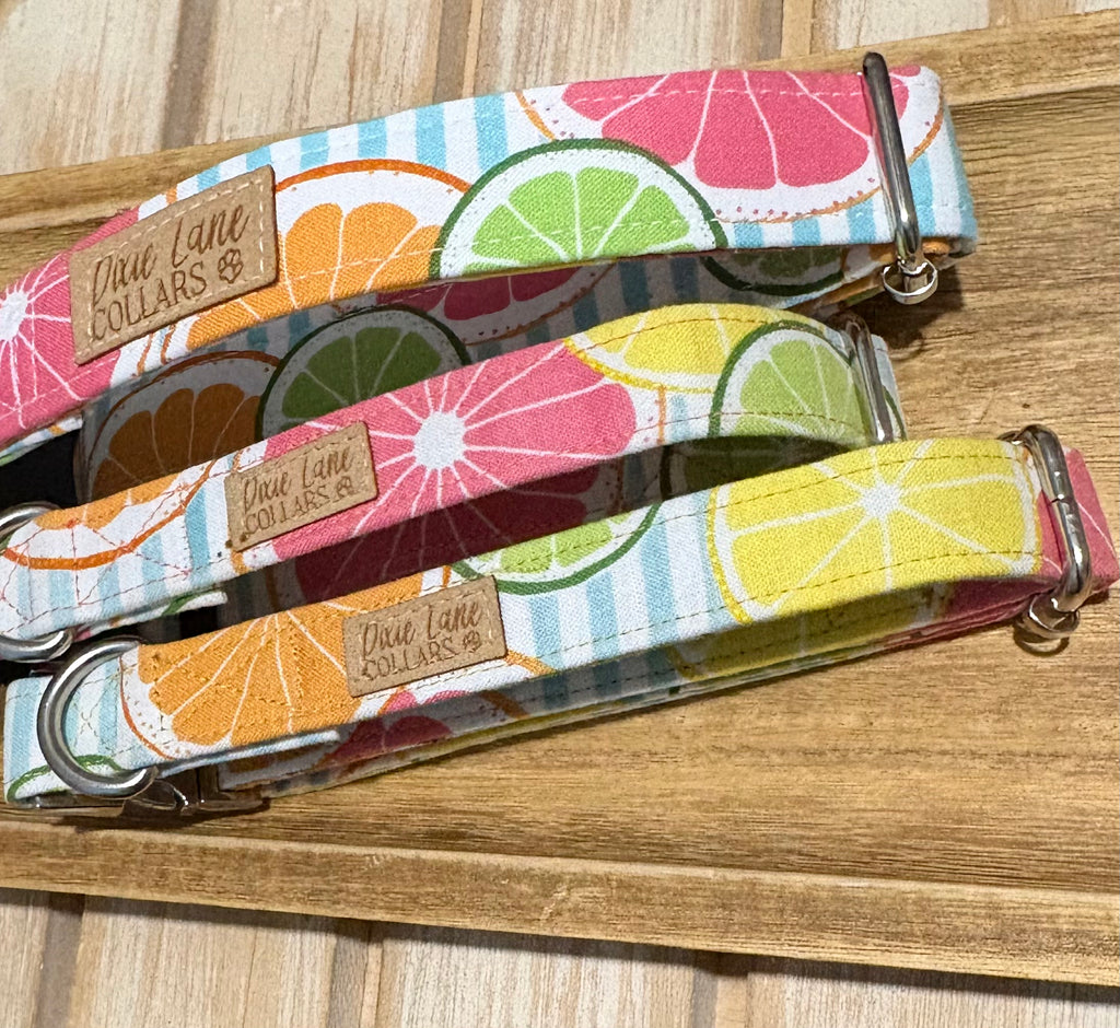 Citrus Striped Dog Collar