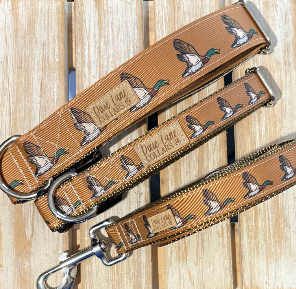 Duck Hunting Dog Collar and Leash Set