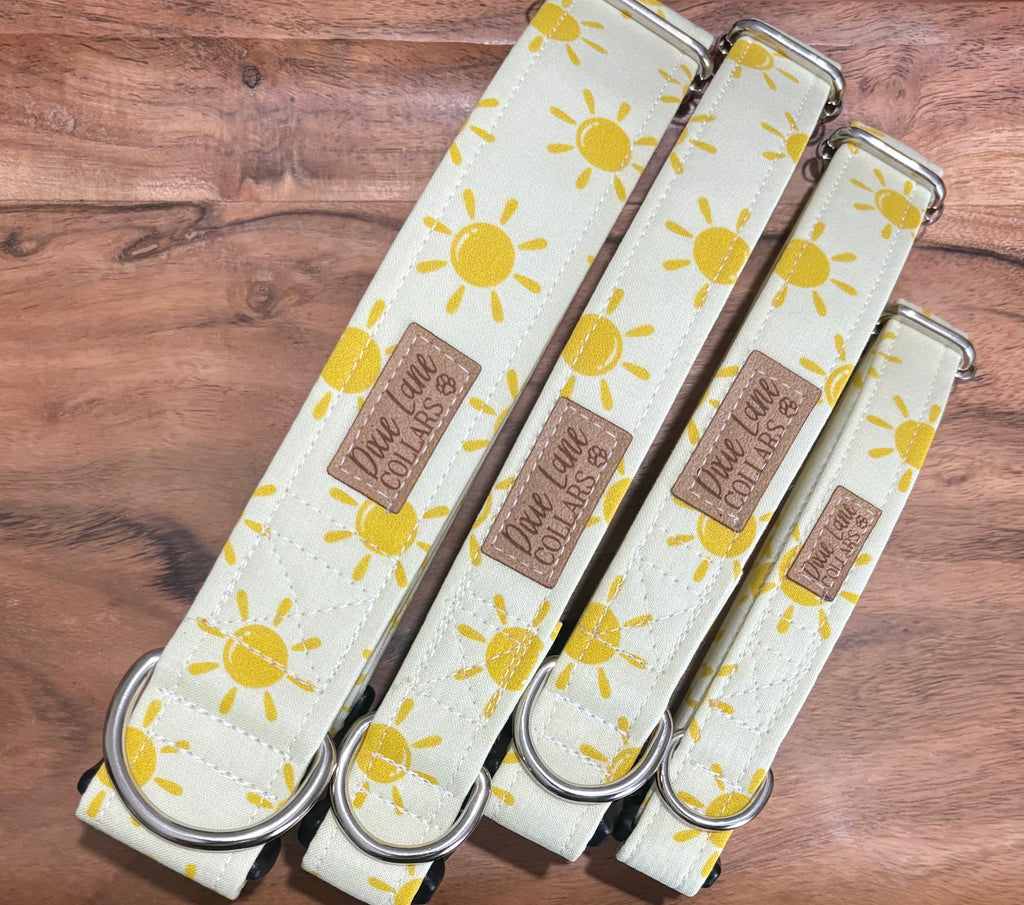 Yellow Sunshine Dog Collar