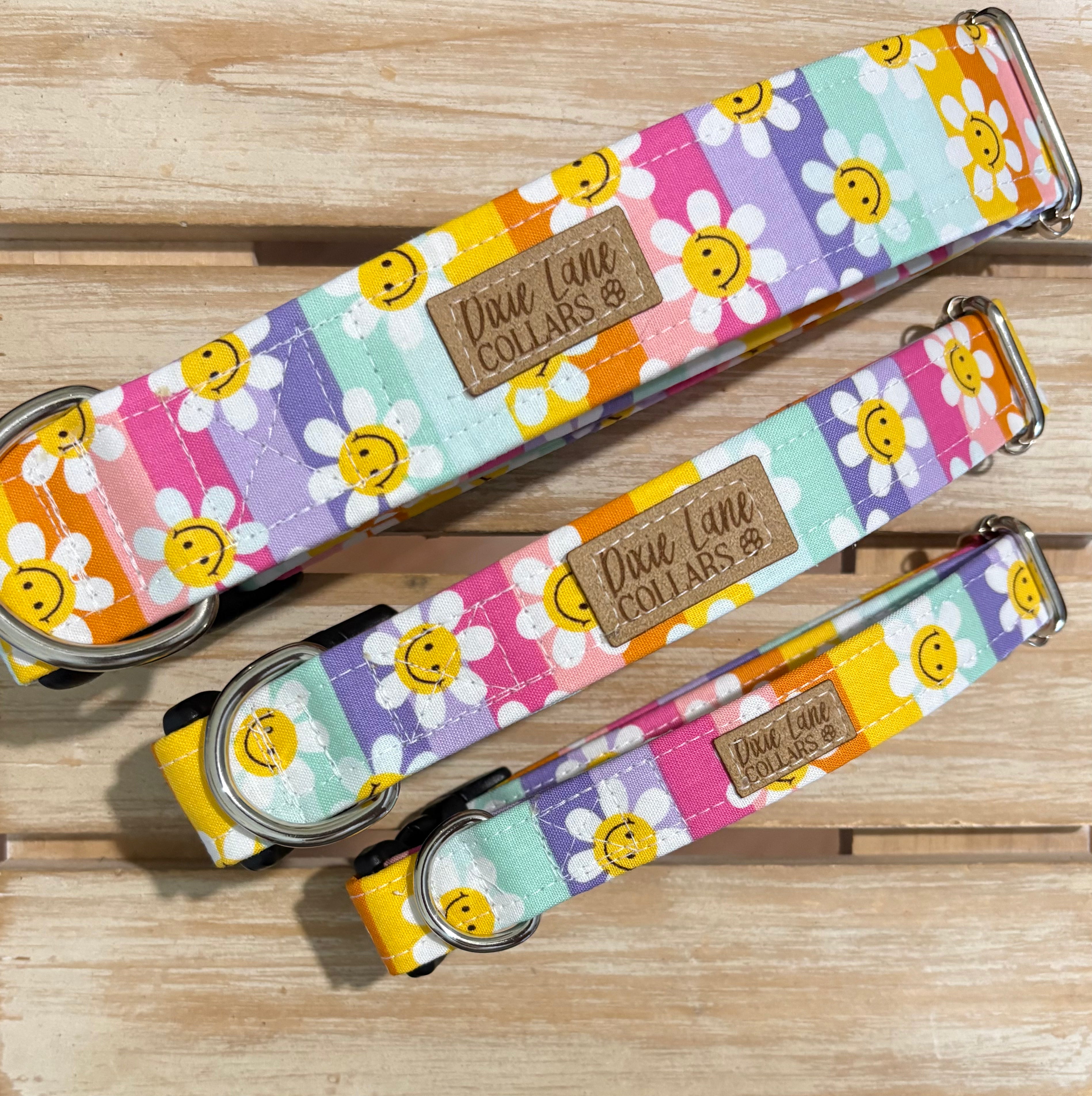 Groovy Summer Daisies Dog Collar