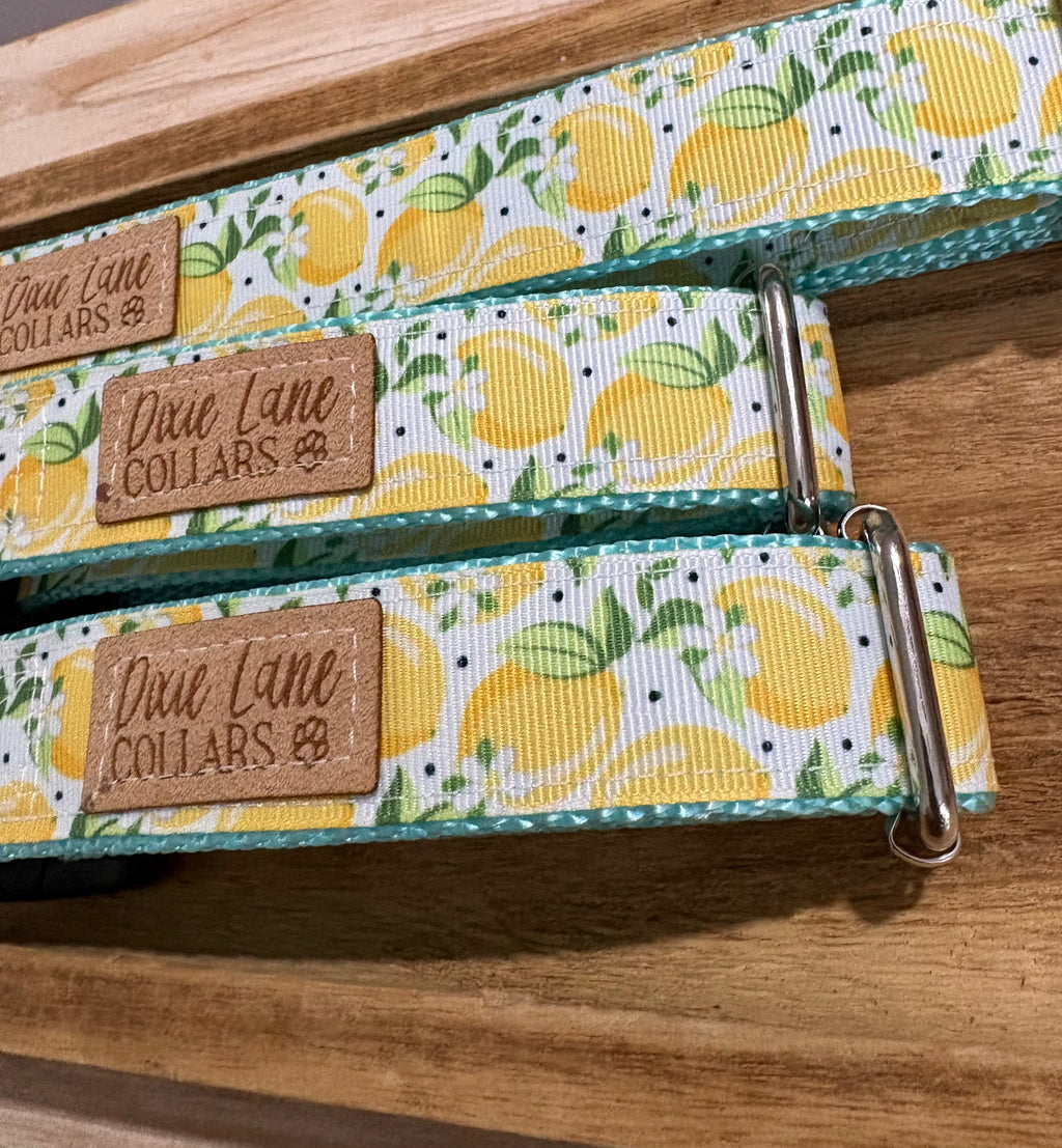 Summer Lemons Ribbon Dog Collar