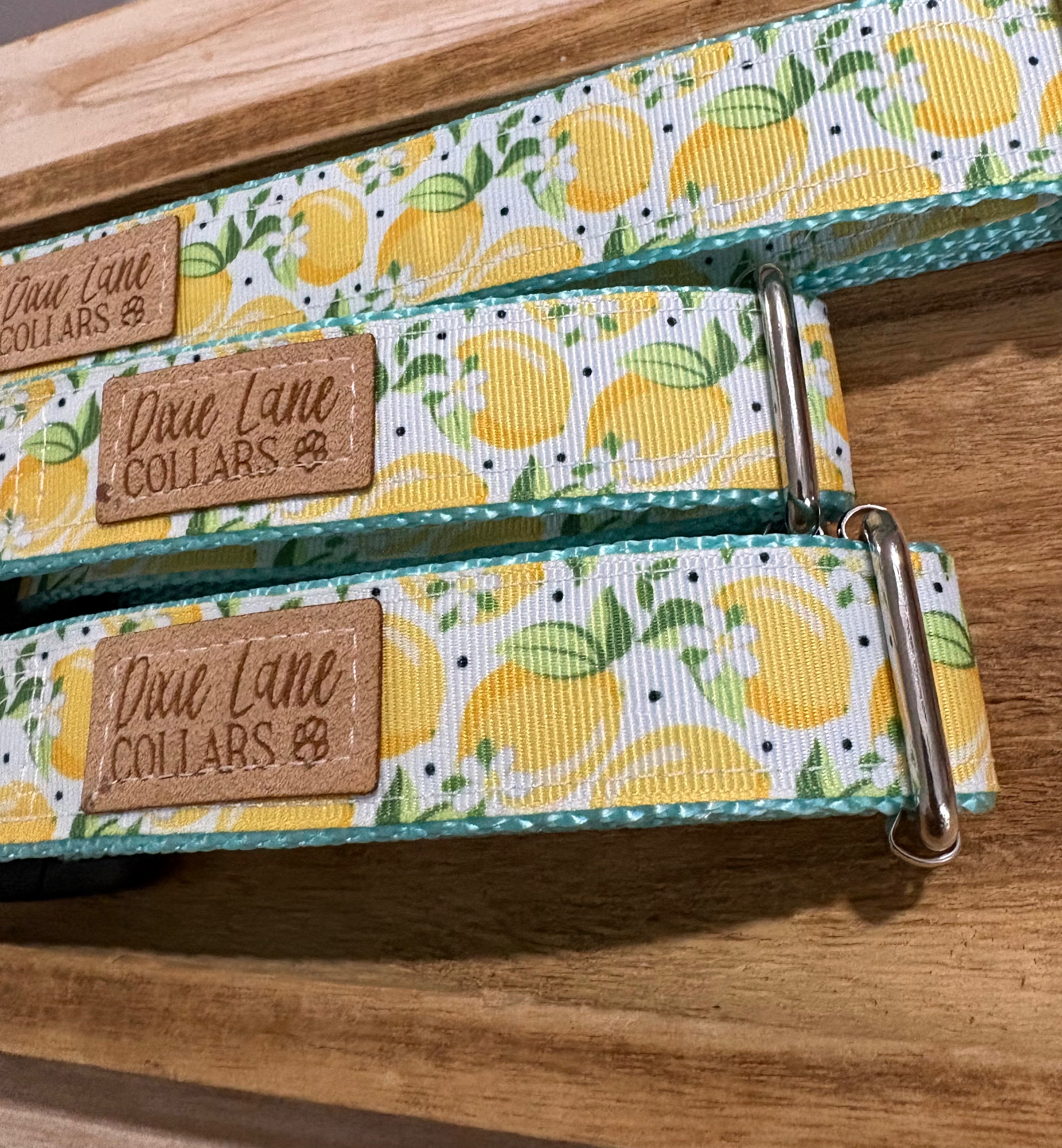 Summer Lemons Ribbon Dog Collar