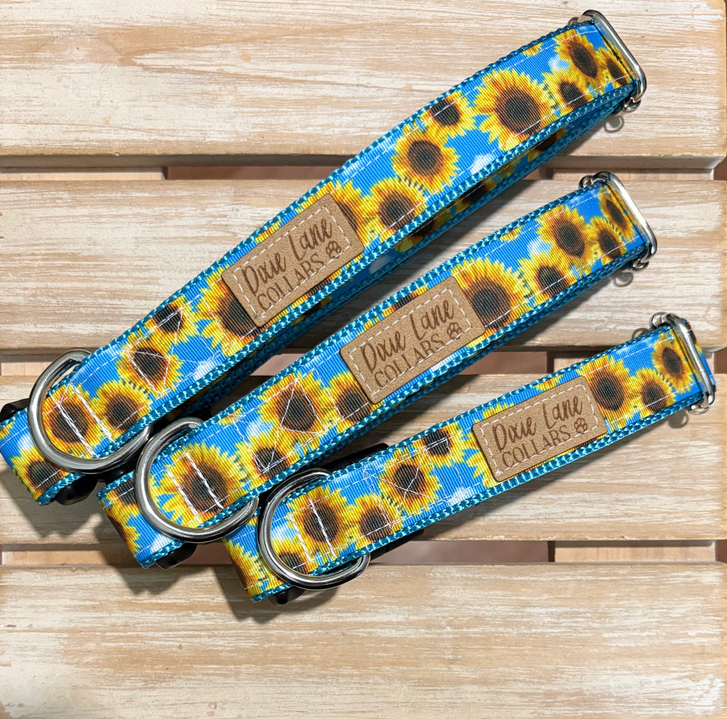 Sunflower Skies Dog Collar