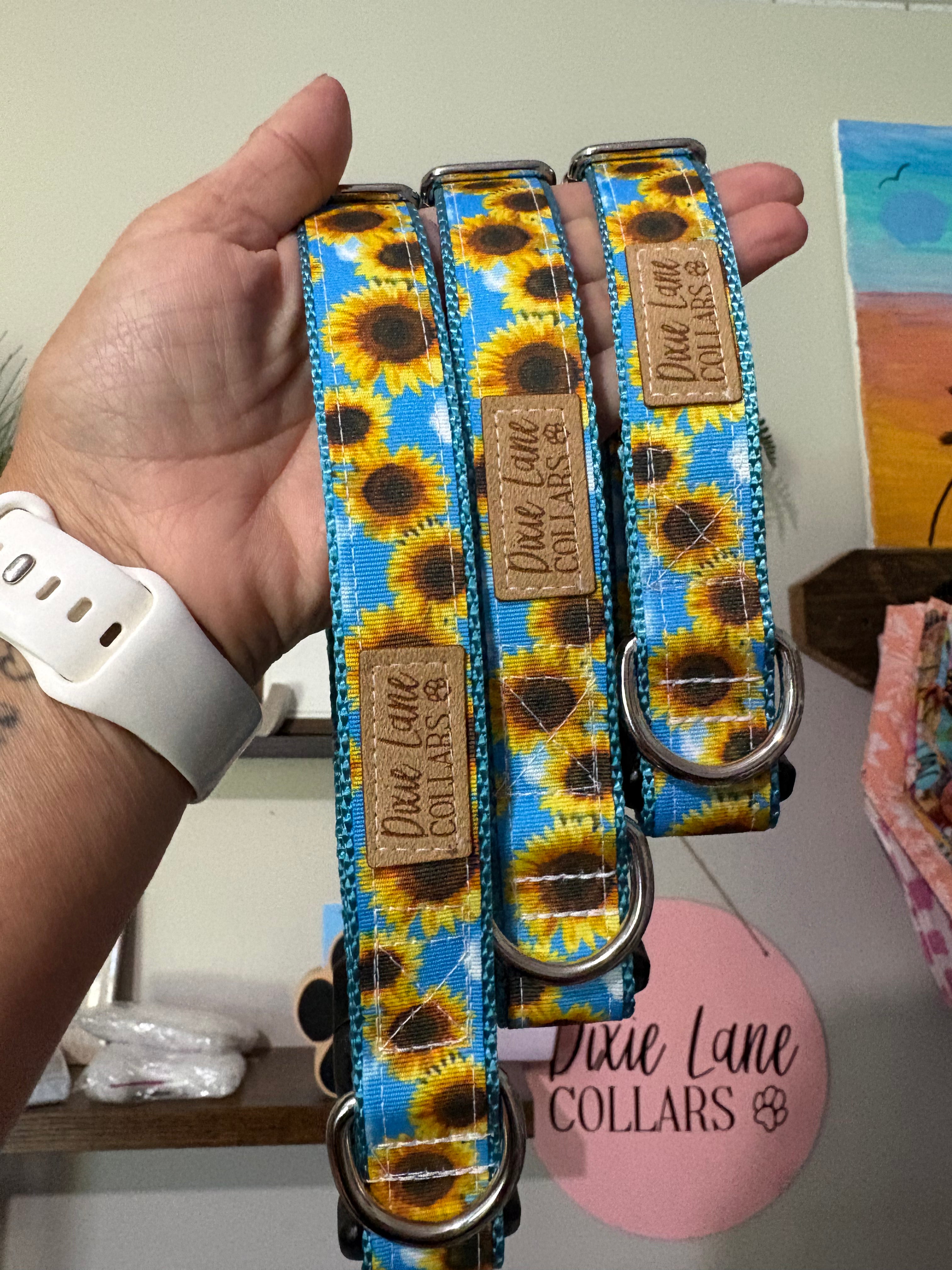 Sunflower Skies Dog Collar