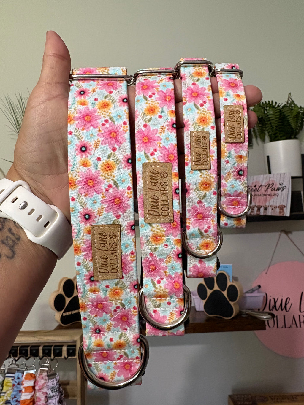 Summer Daisies Dog Collar