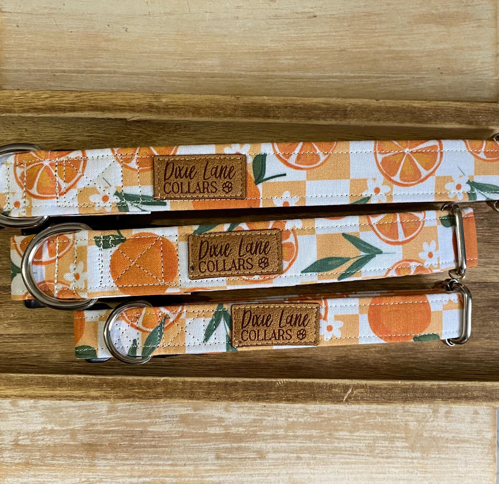 Oranges Checkered Dog Collar