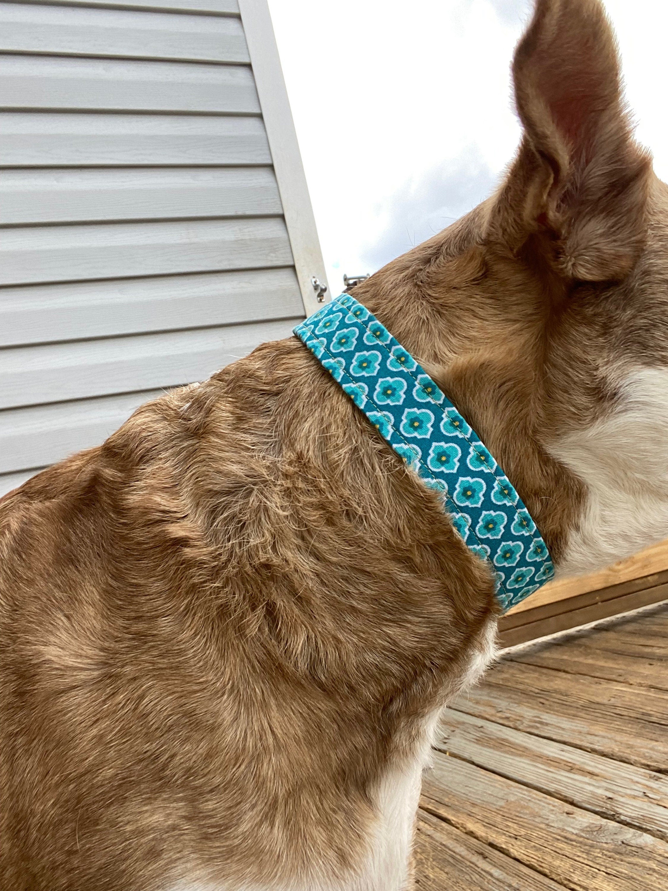 Teal Medallion Floral Print Dog Collar