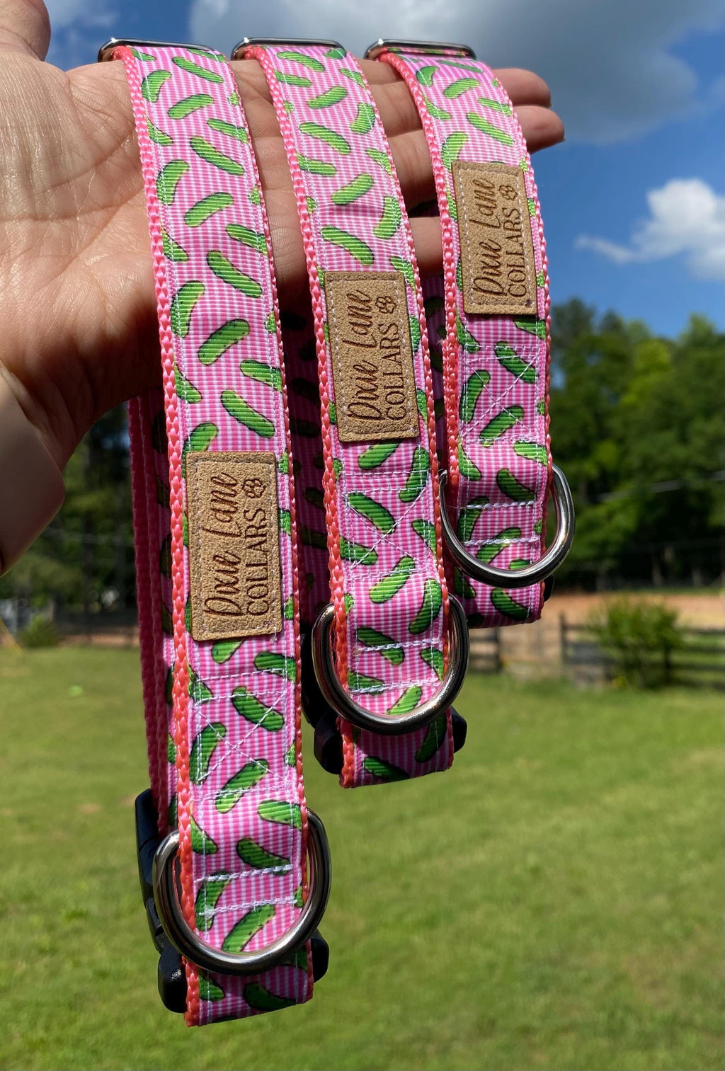 Pink Striped Pickles Dog Collar