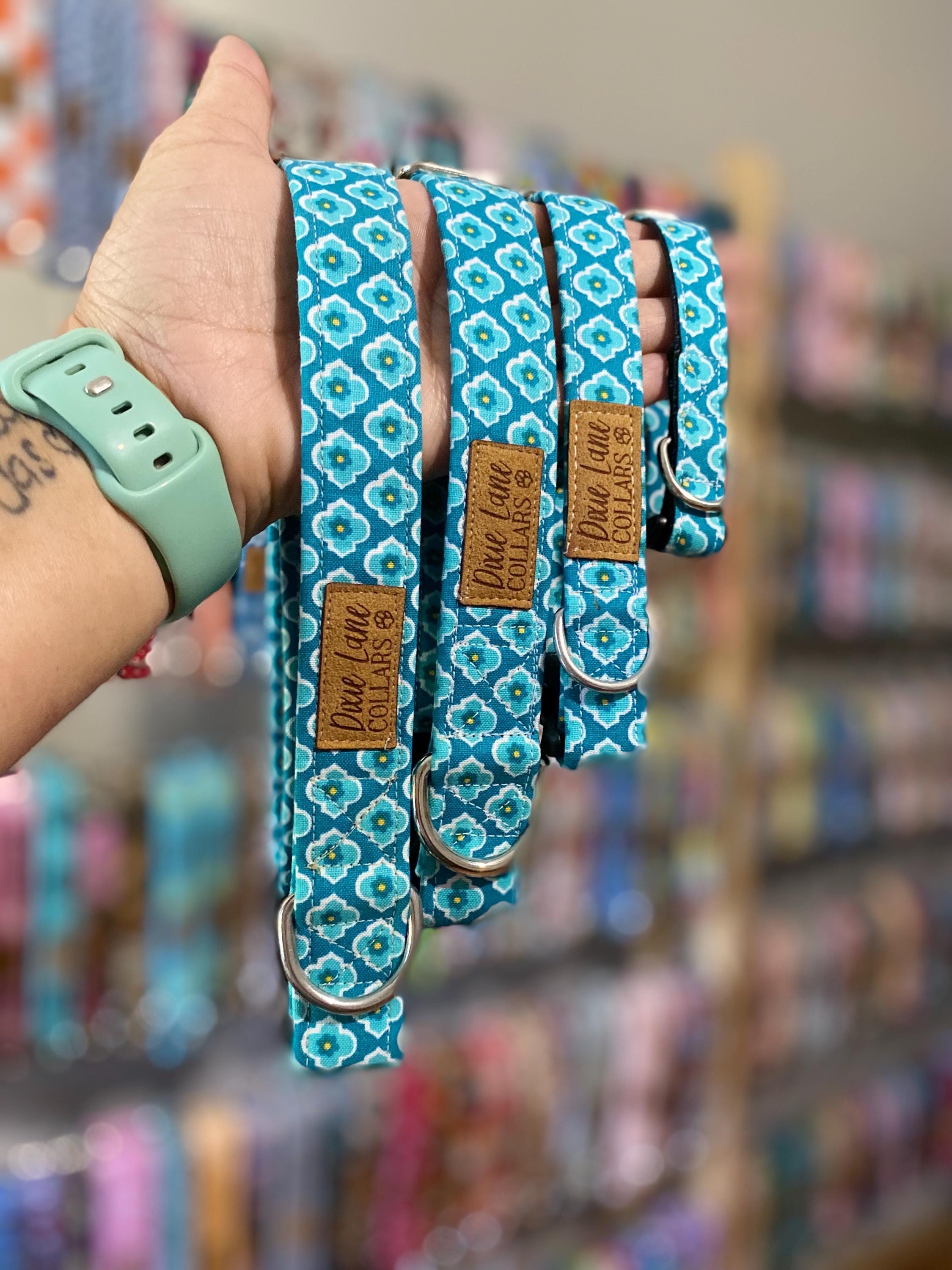 Teal Medallion Floral Print Dog Collar