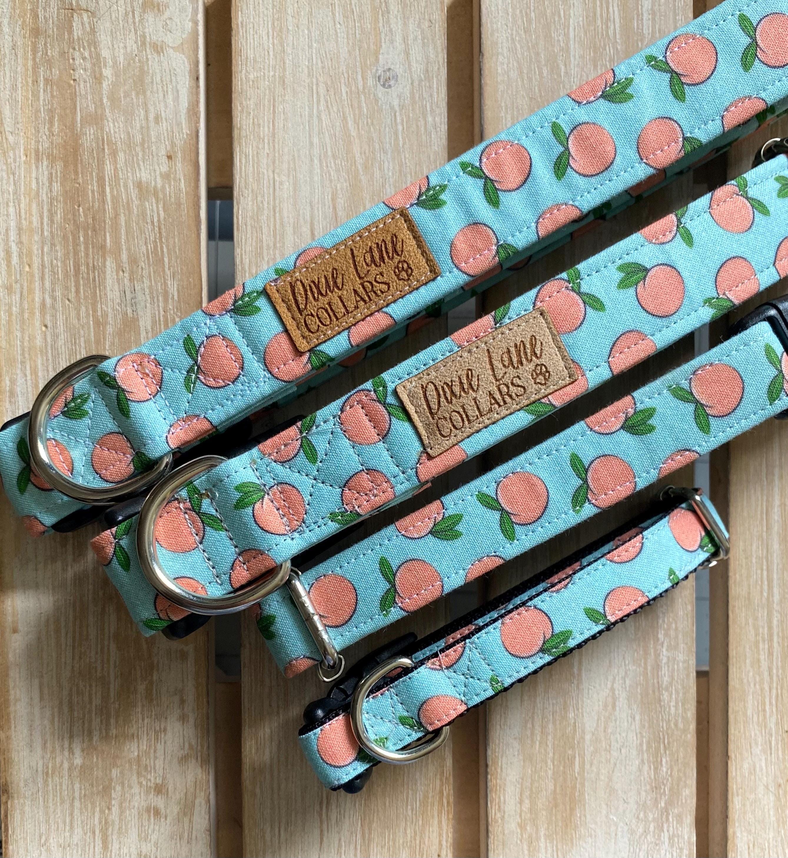 Peaches on Teal Dog Collar