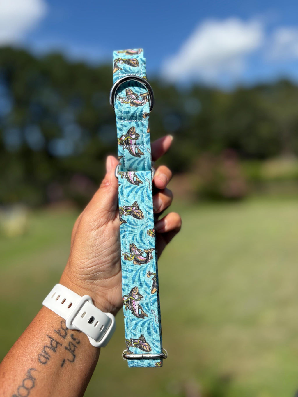 Rodeo Western Frogs Dog Collars