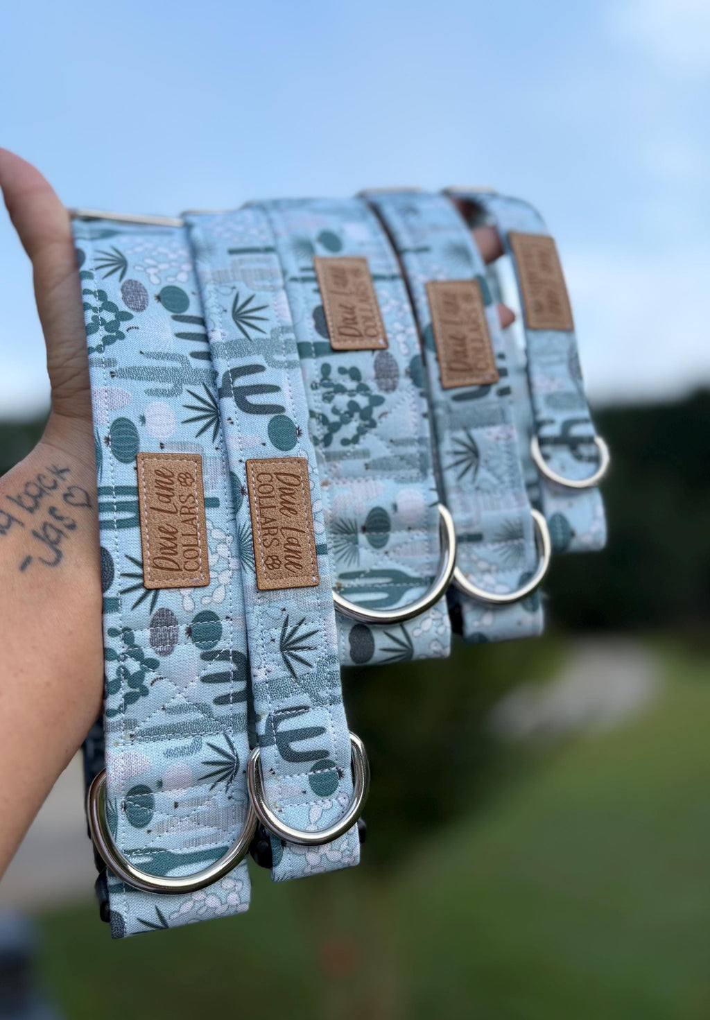 Desert Cactus Dog Collar