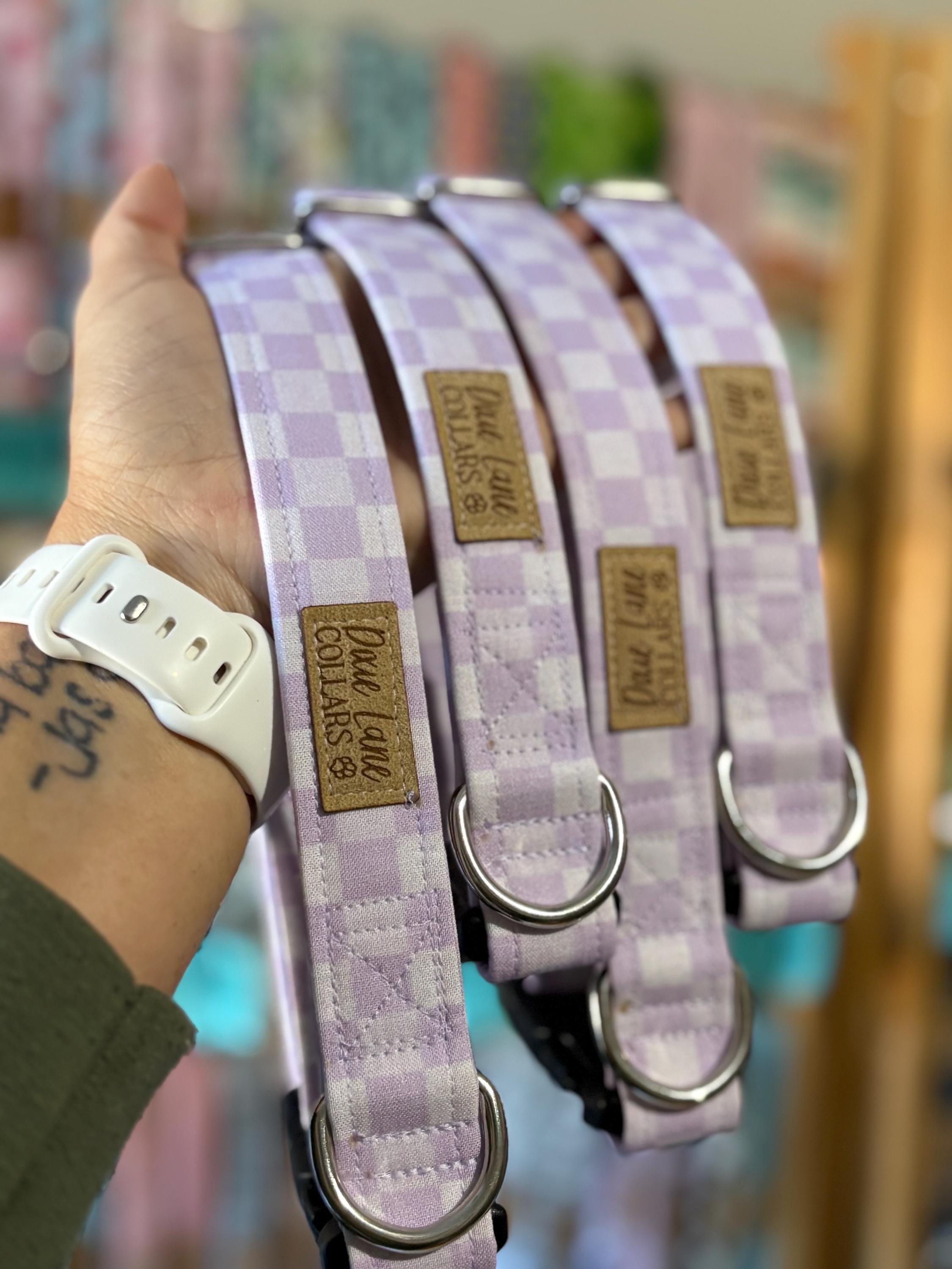Purple Lavender Checker Dog Colla