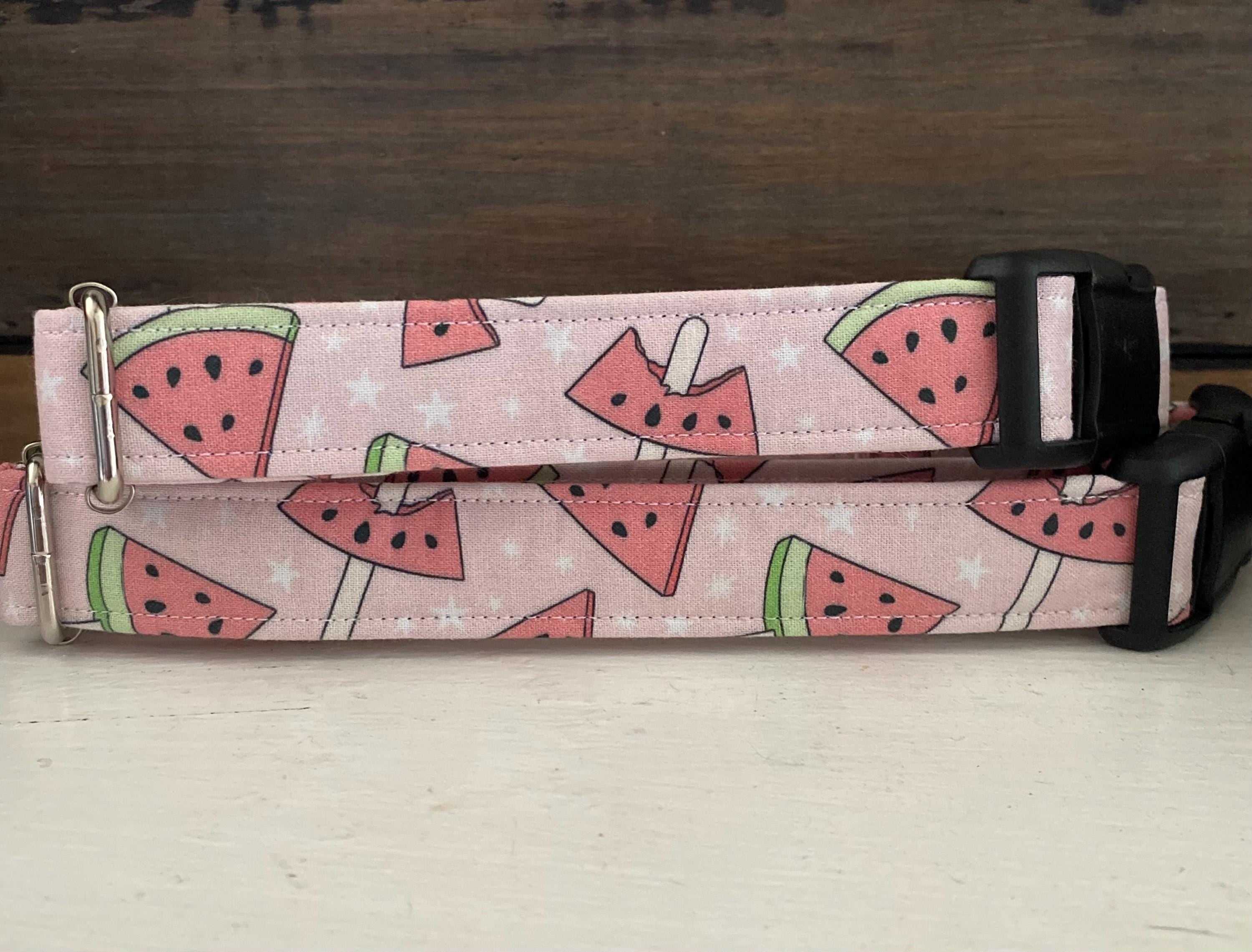 Pink Watermelon Popsicle Dog Collar