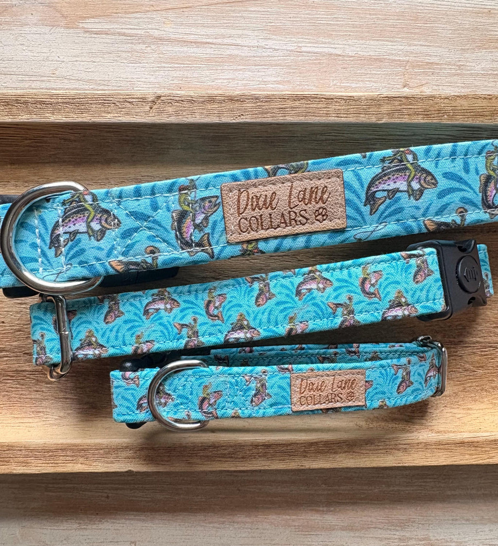 Rodeo Western Frogs Dog Collars