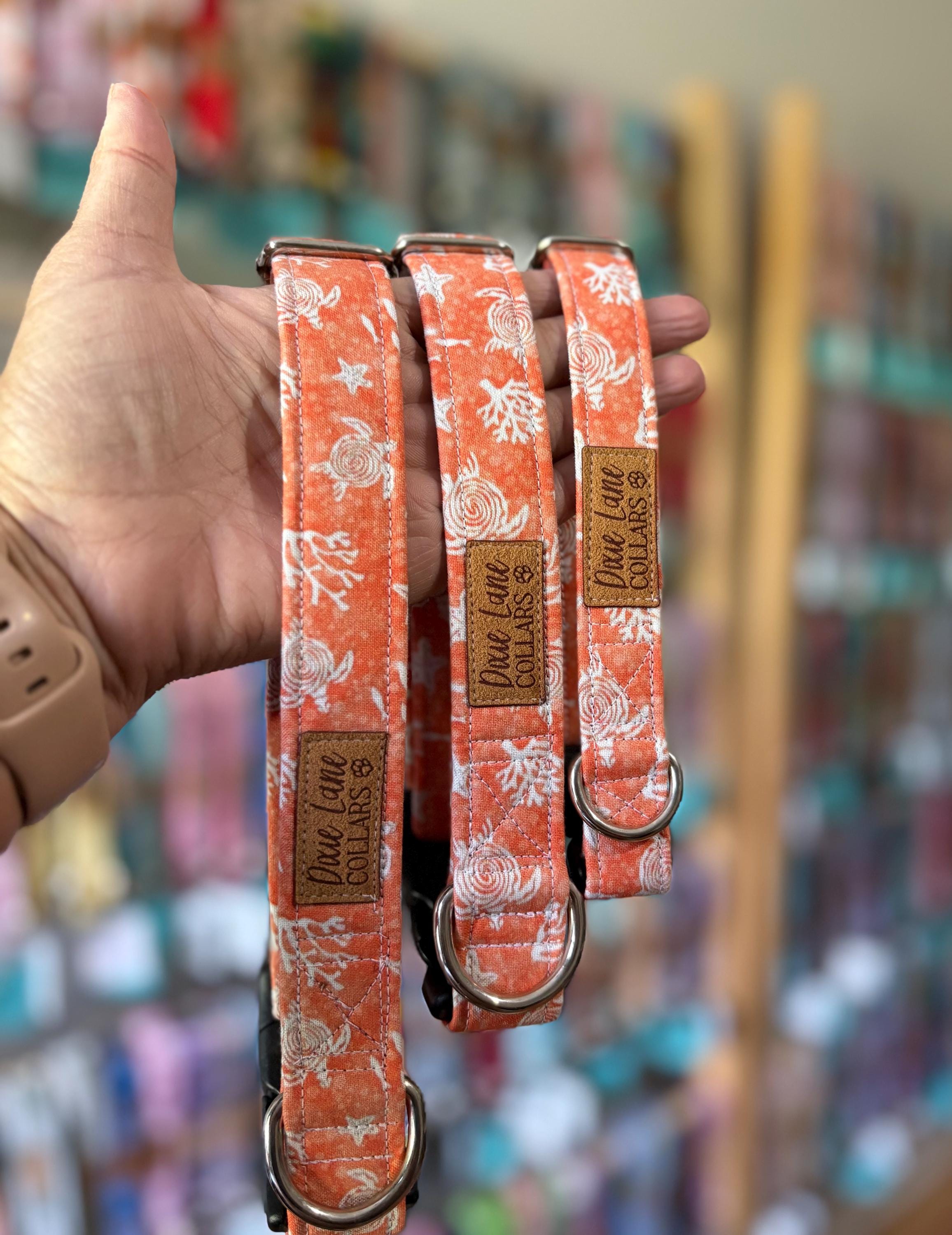 Sea Turtles on Orange Dog Collar