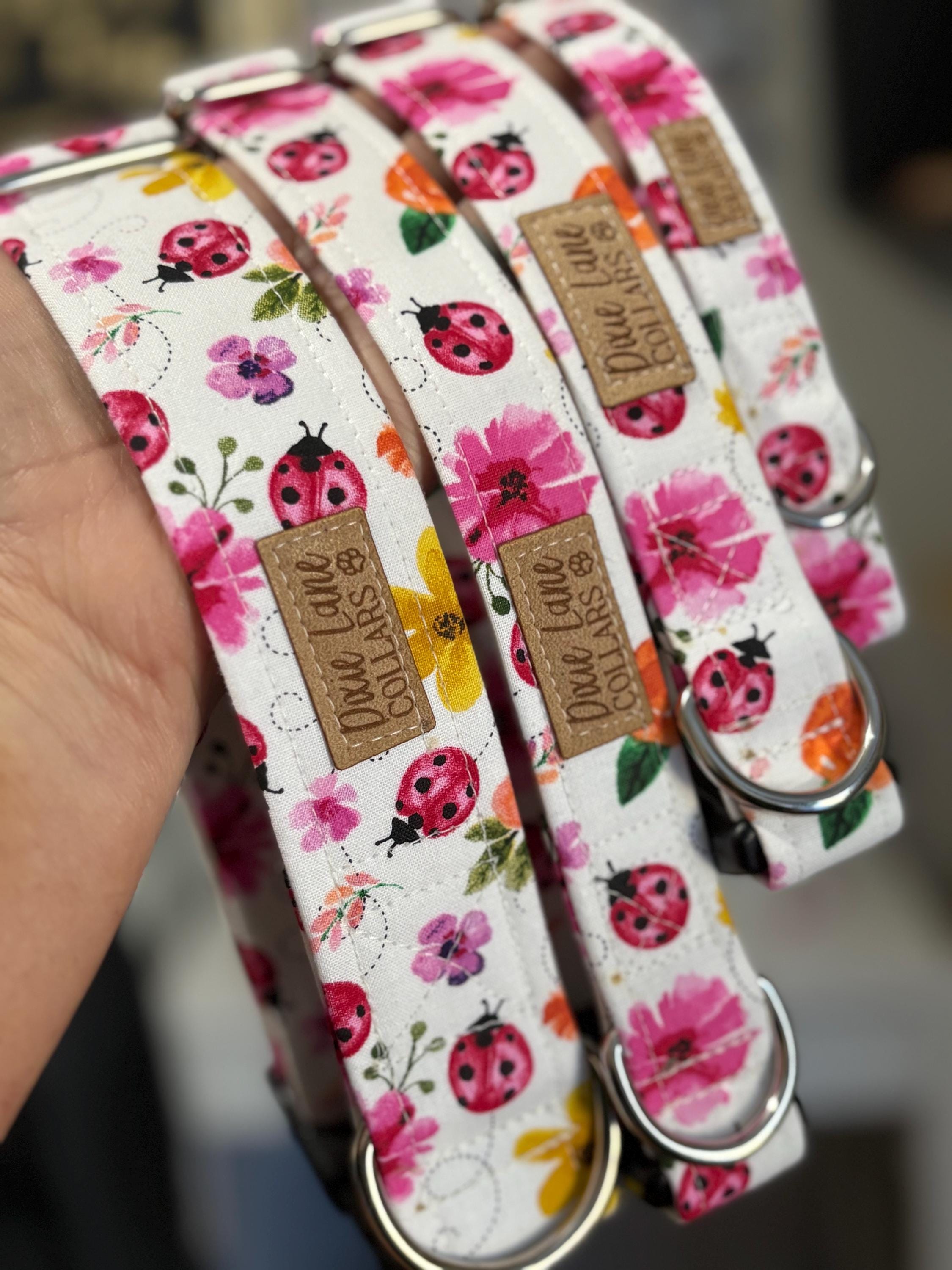Lady Bug Floral Dog Collar