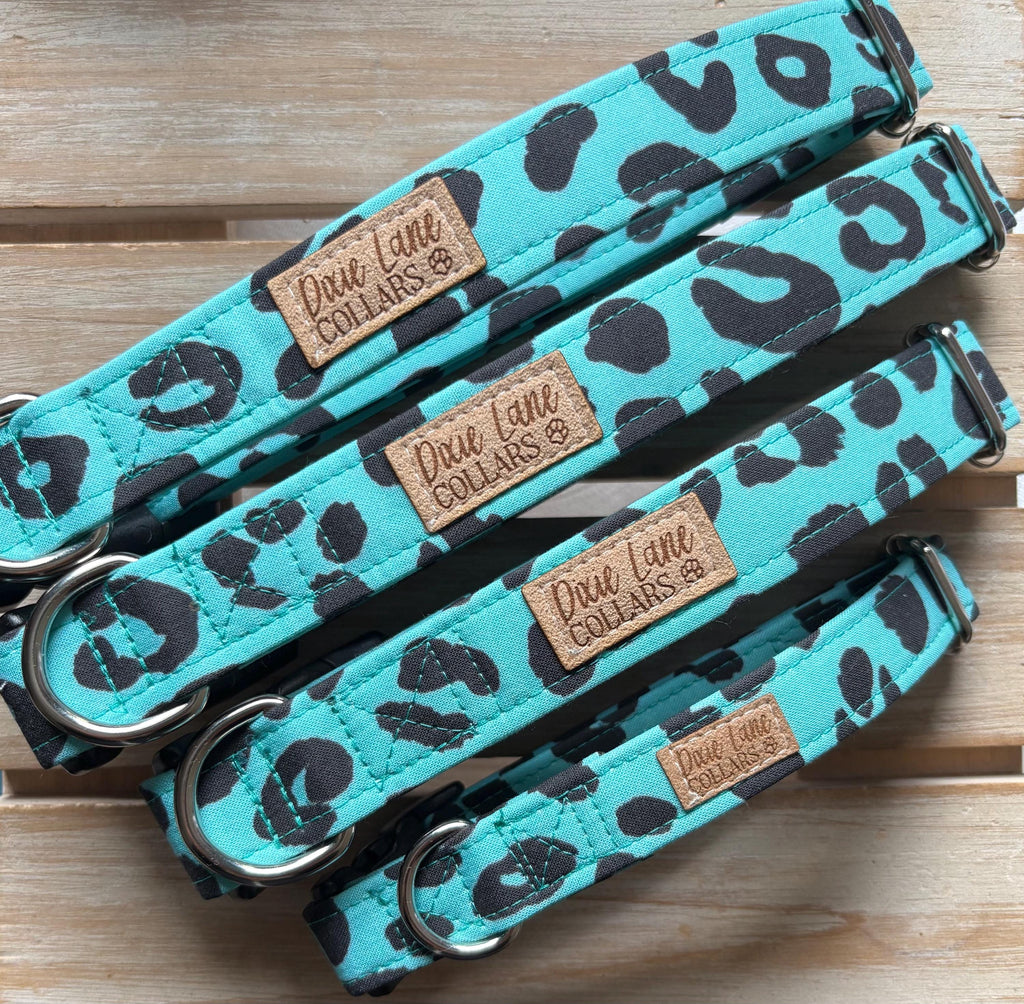 Teal Leopard Print Dog Collar