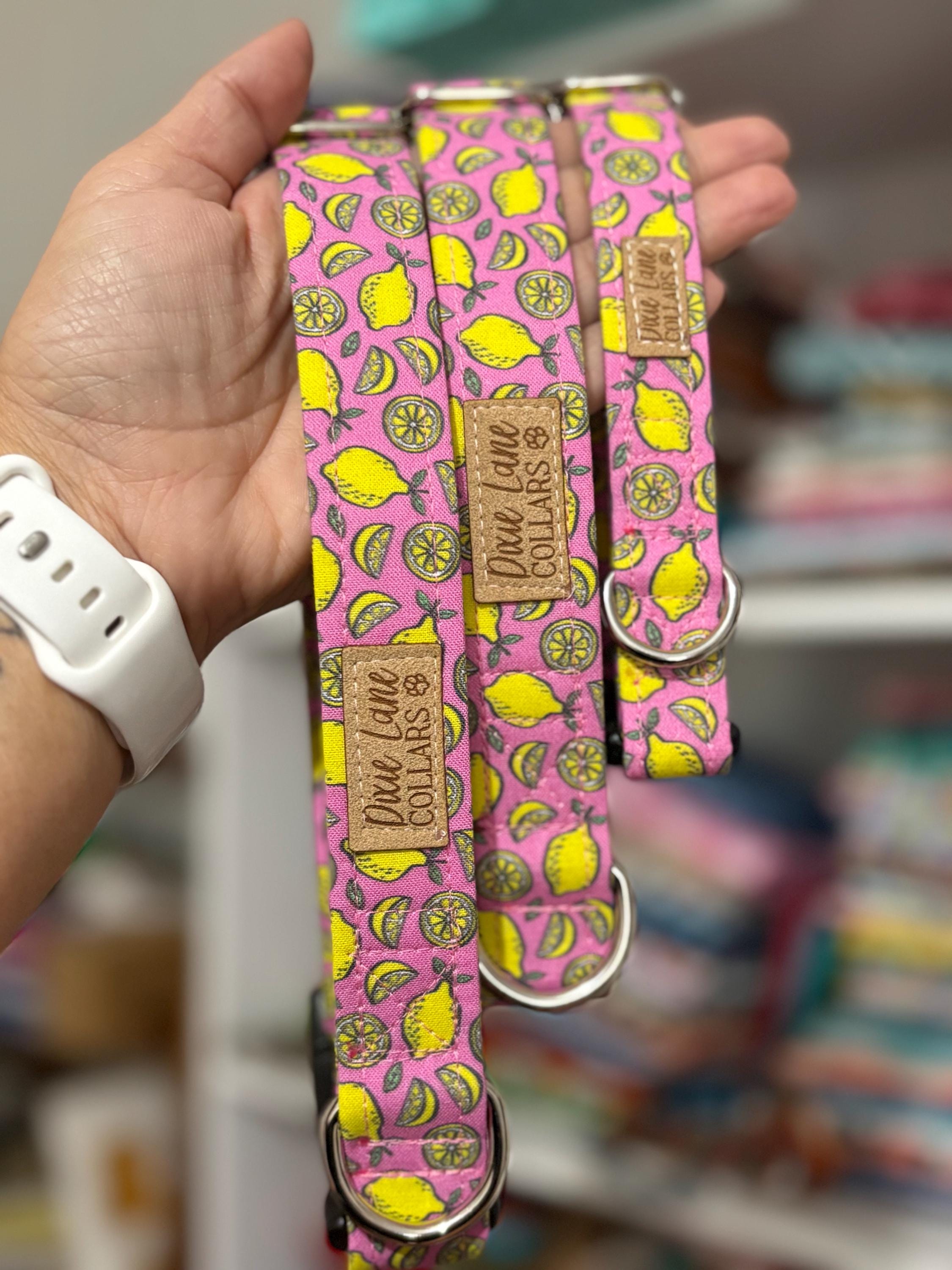 Pink Lemons Dog Collar