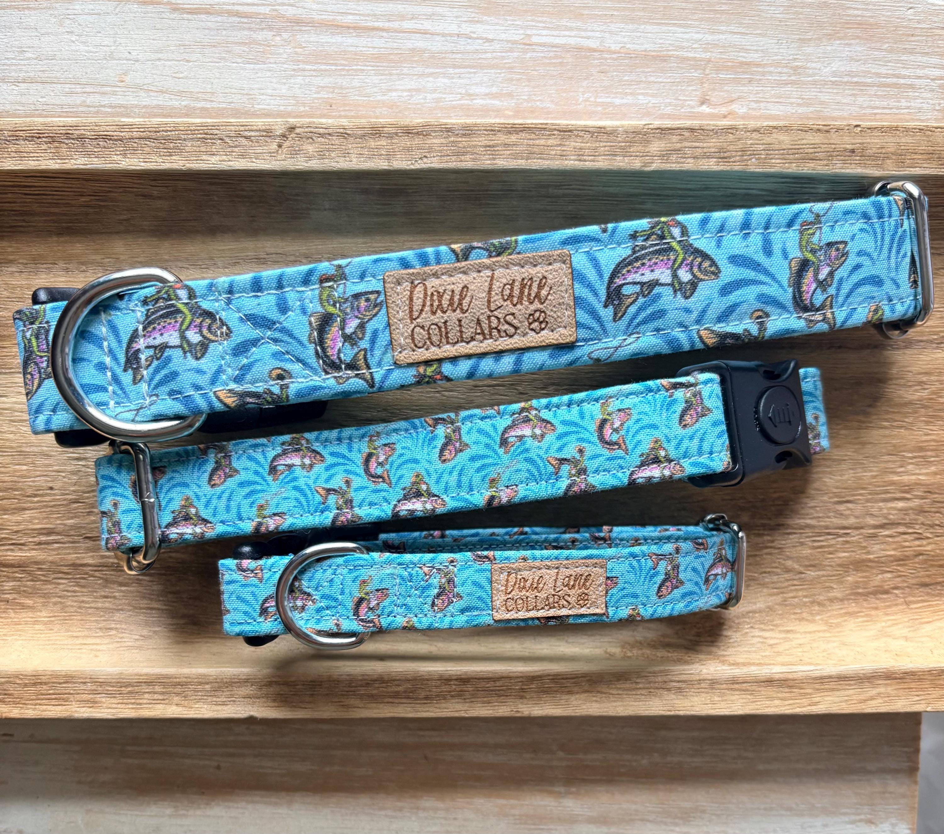 Rodeo Western Frogs Dog Collars