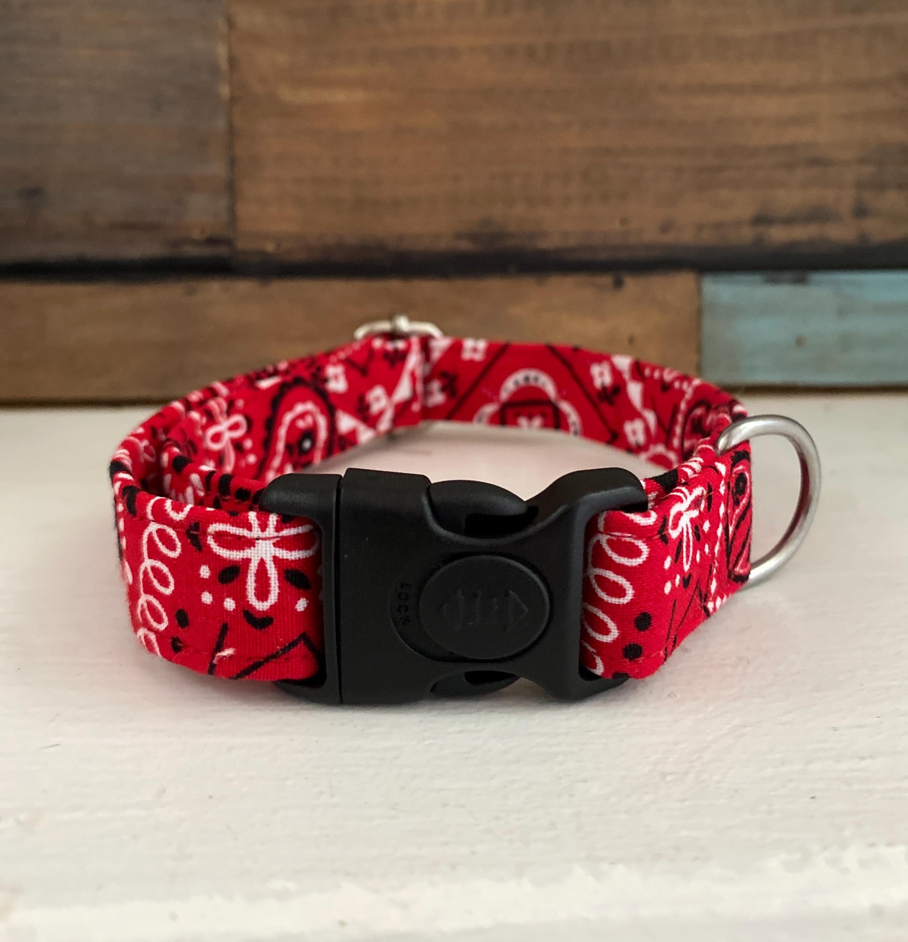 Red Bandana Western Dog Collar