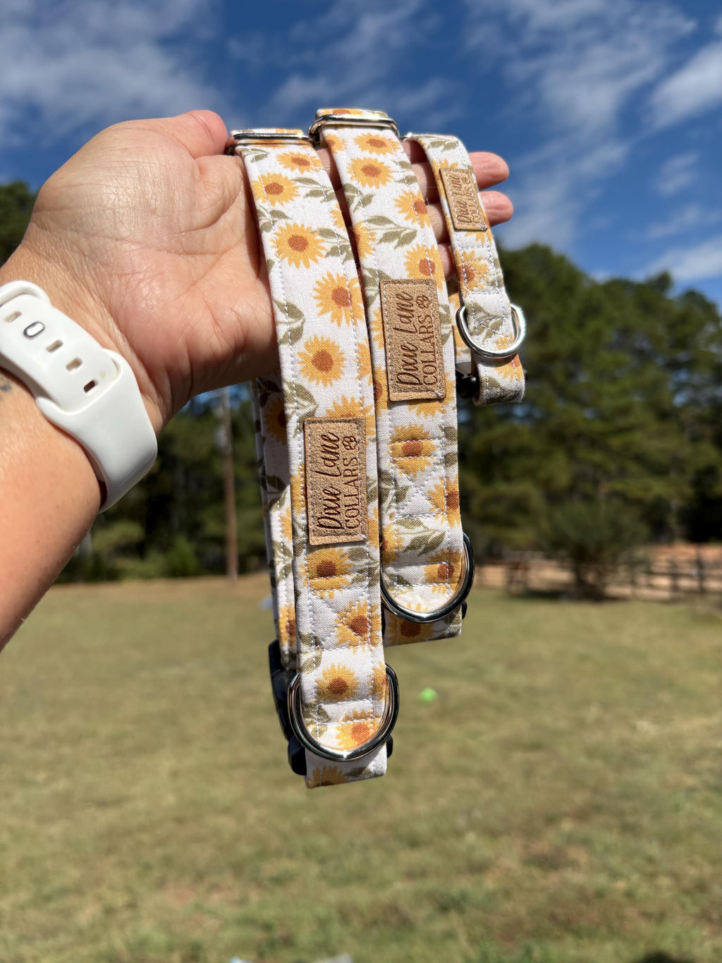 Vintage Sunflower Field Dog Collar