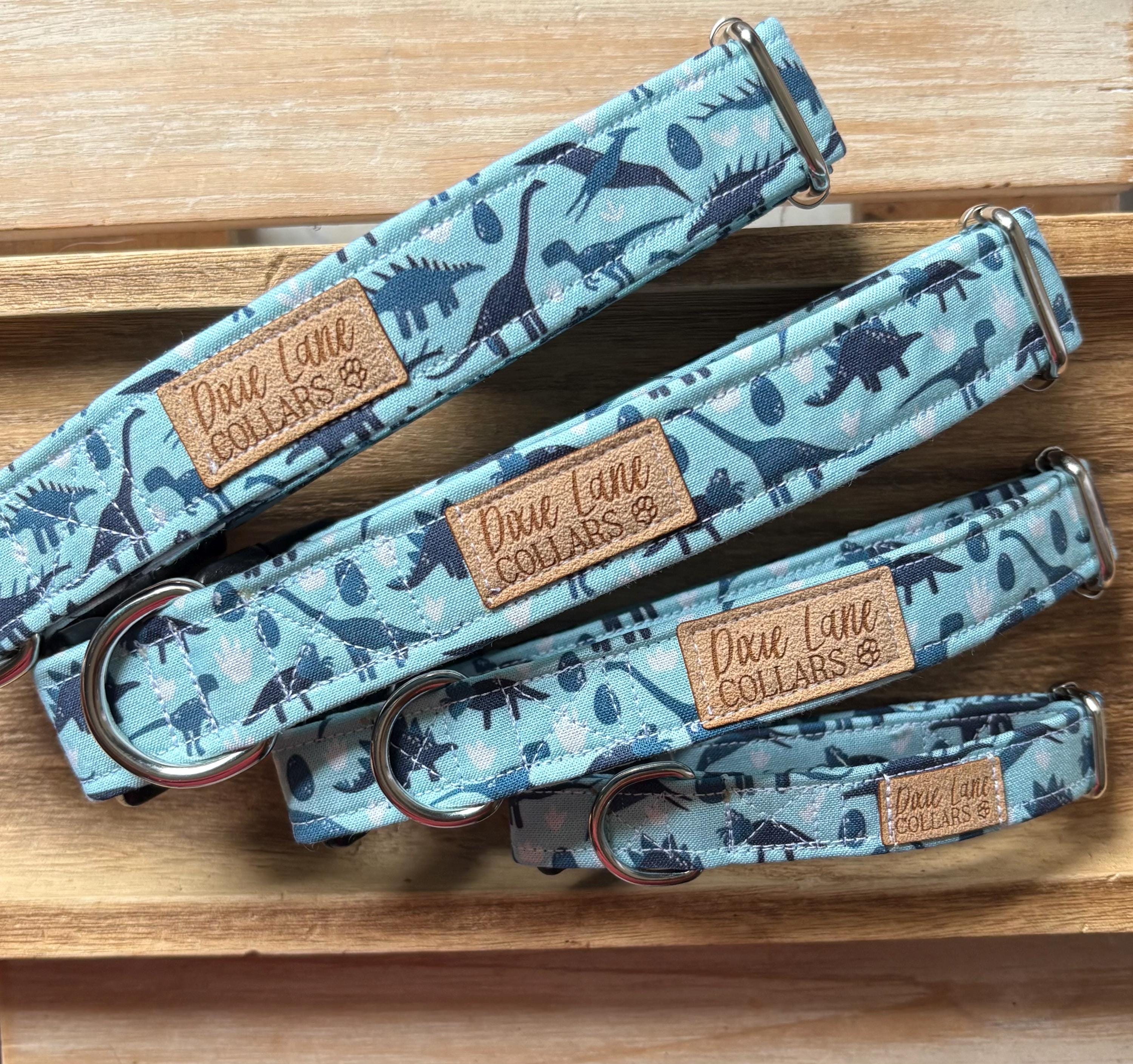 Blue Dinosaur Dog Collar