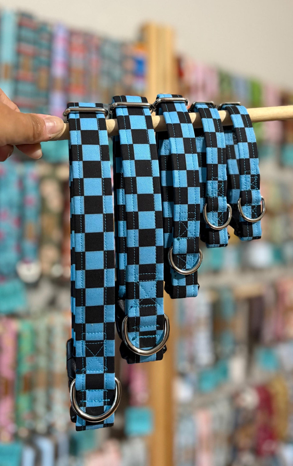 Blue and Black Checker Dog Collar