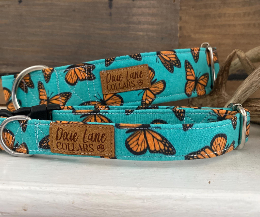 Teal and Orange Butterflies Dog Collar